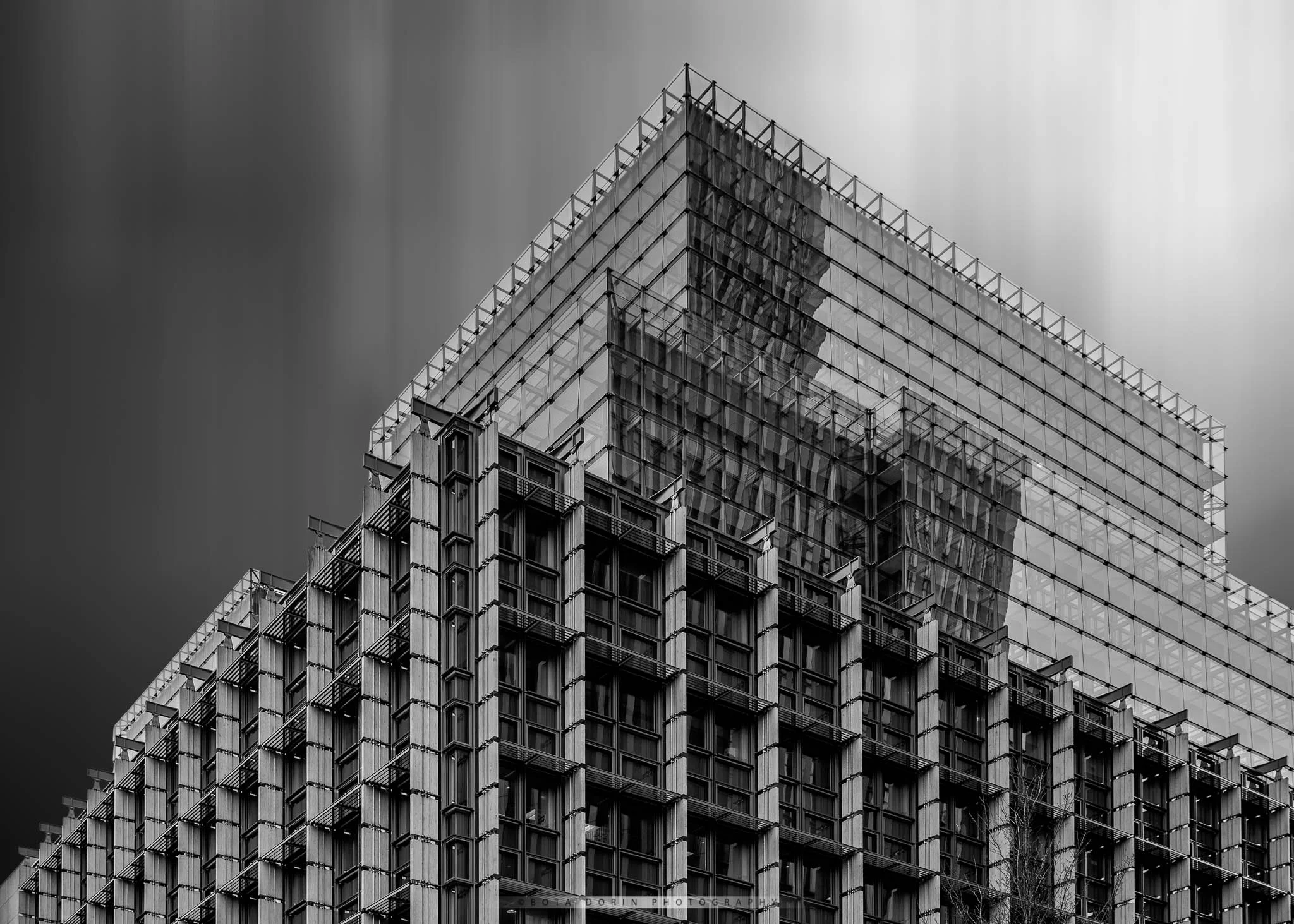 Lines bw