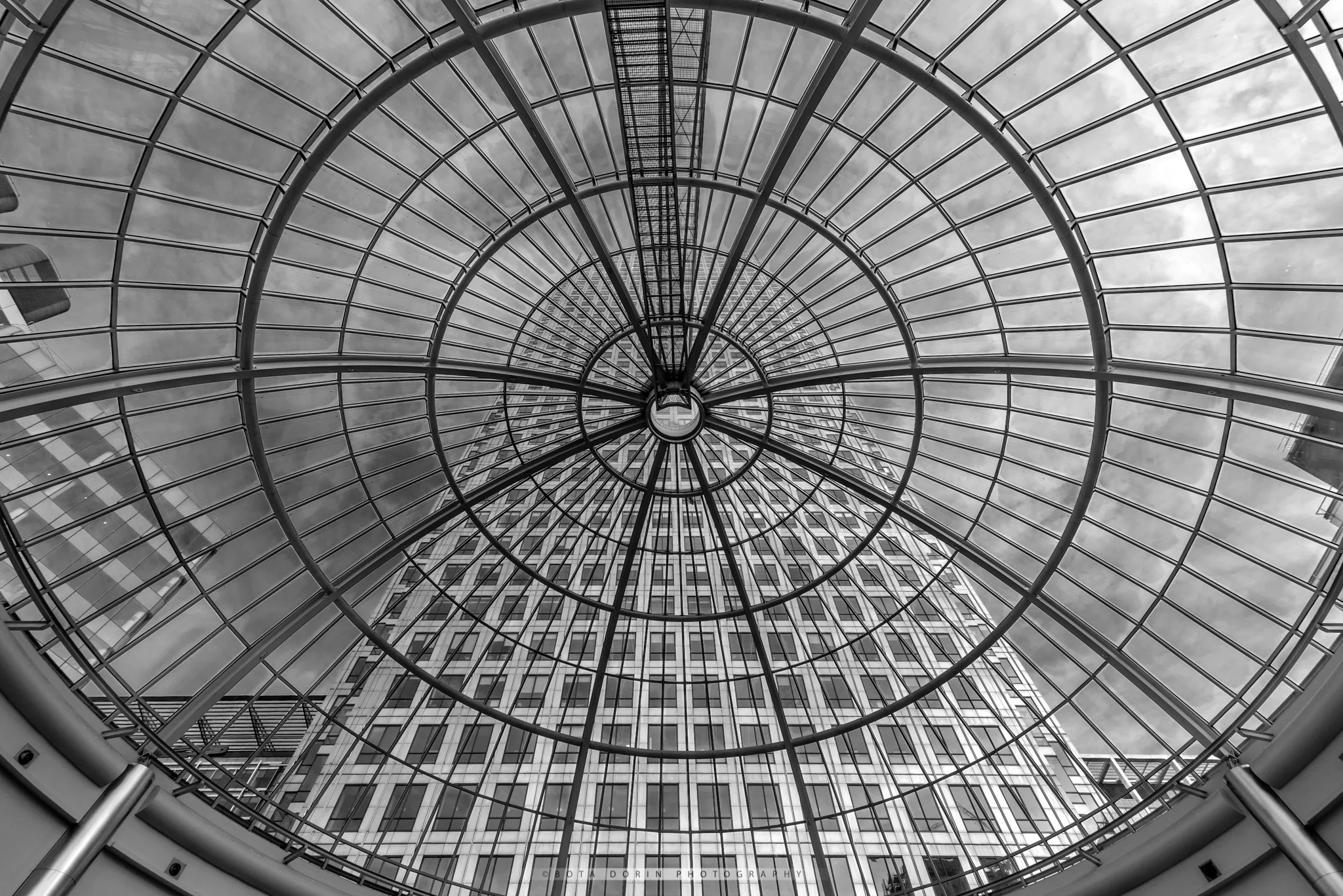 Caged bw
