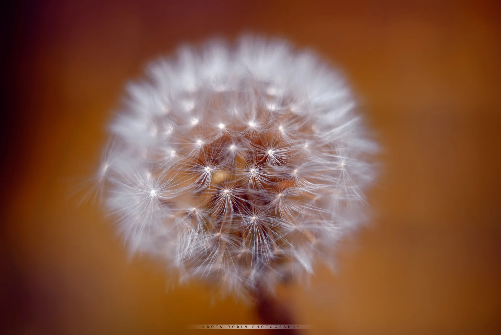 Fragility