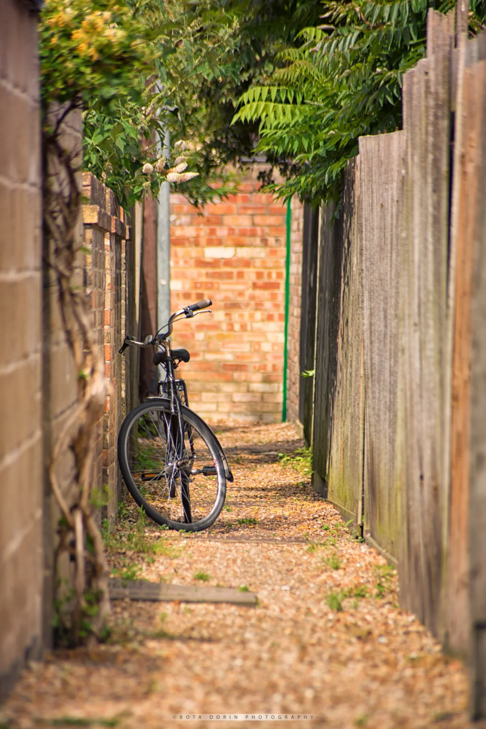 Urban