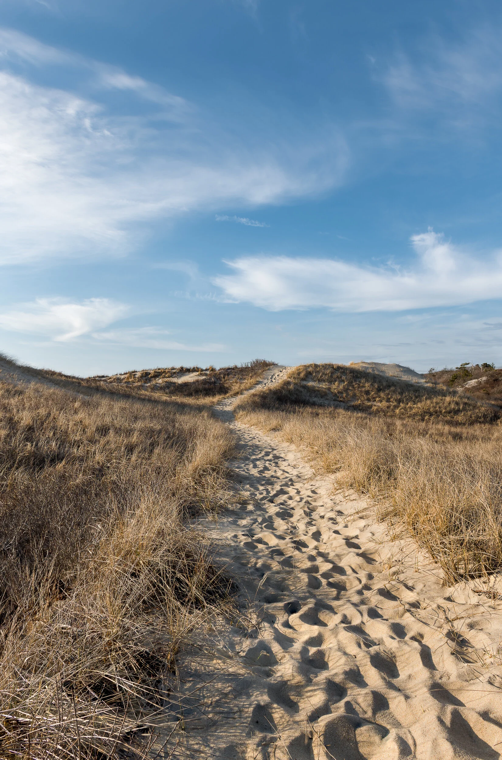 Land & Seascapes-21.jpg