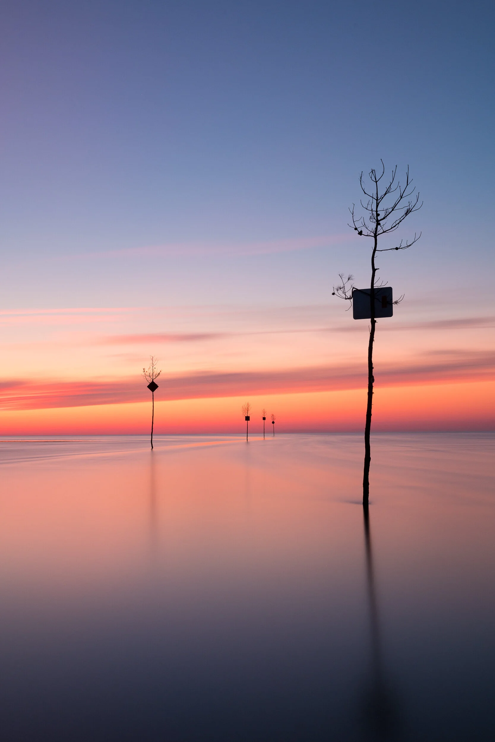 Land & Seascapes-23.jpg