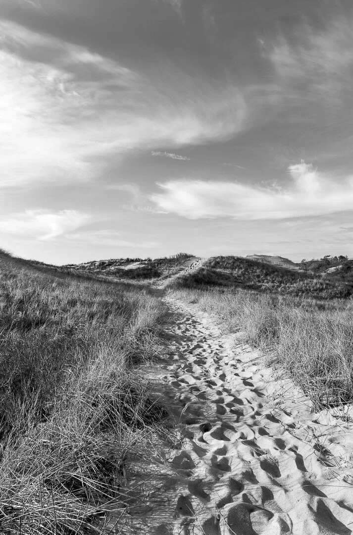 B&W Philbin Beach Trail-1.jpg