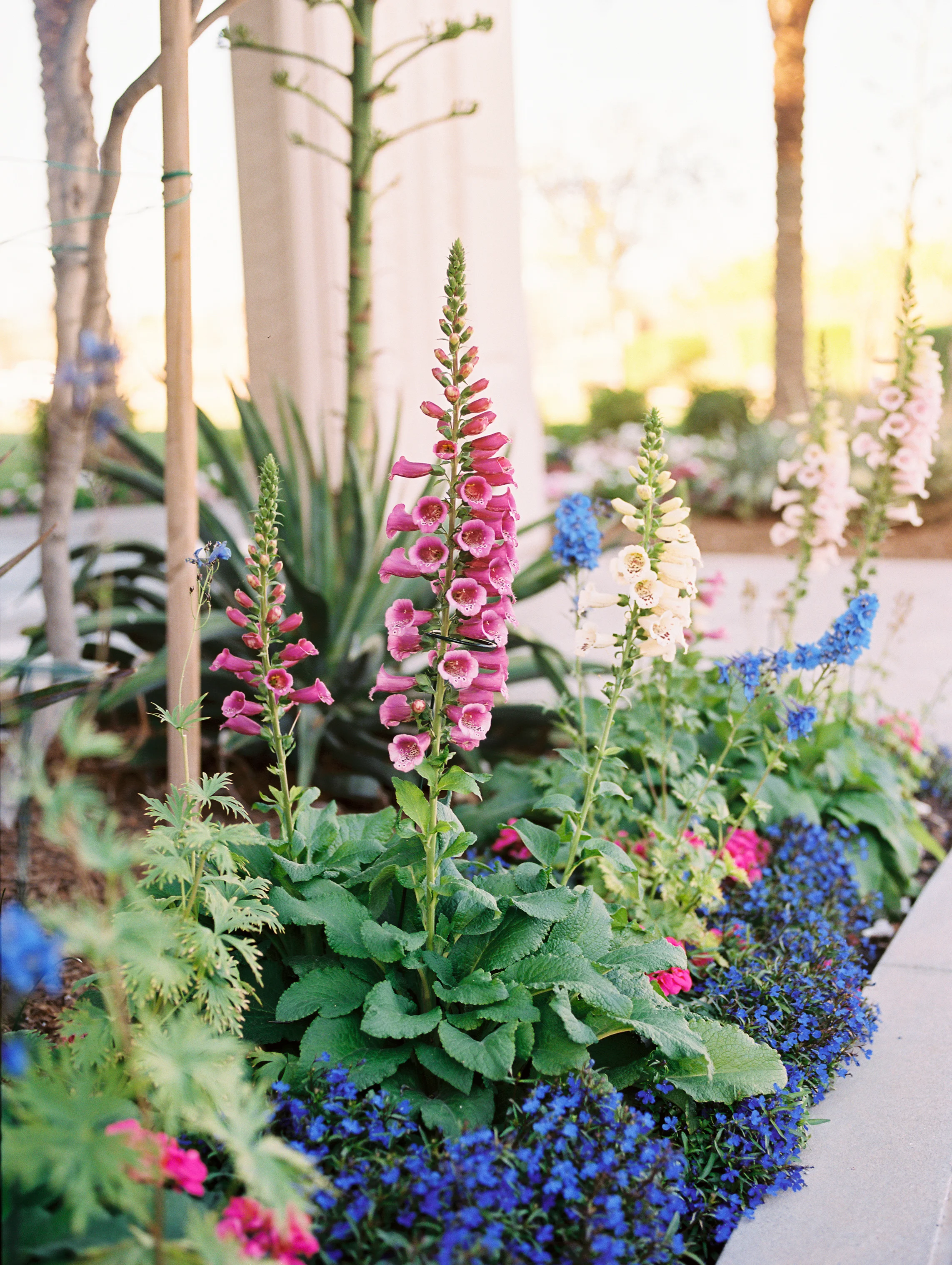 Moon Wedding Megan Sorenson