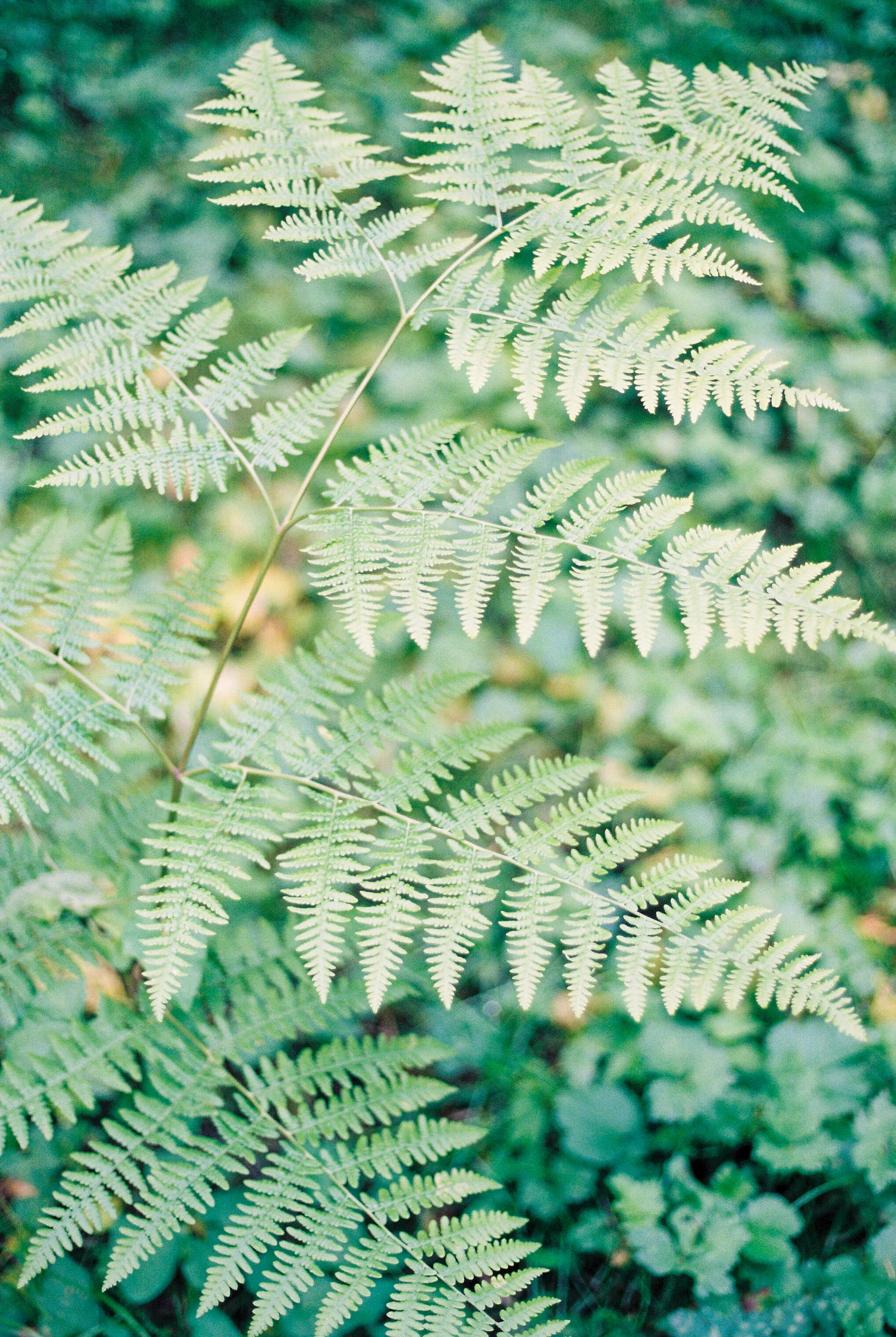 prints-25.jpg