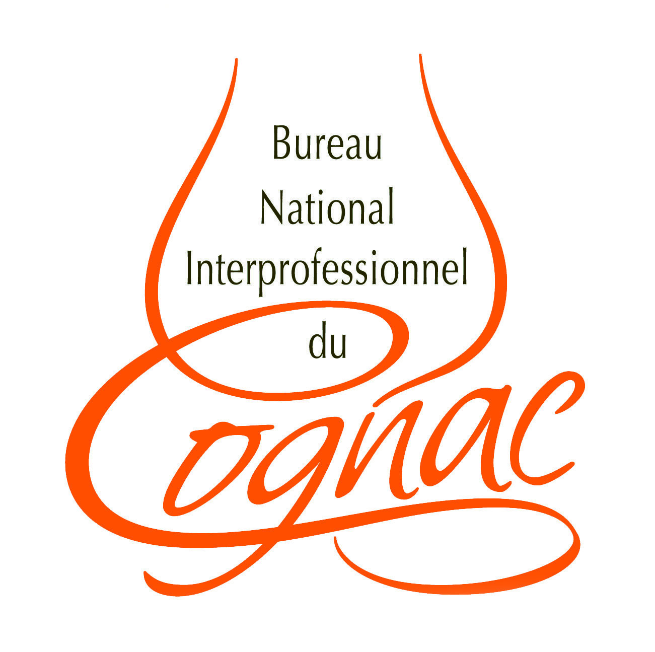 logo-BNIC.jpg