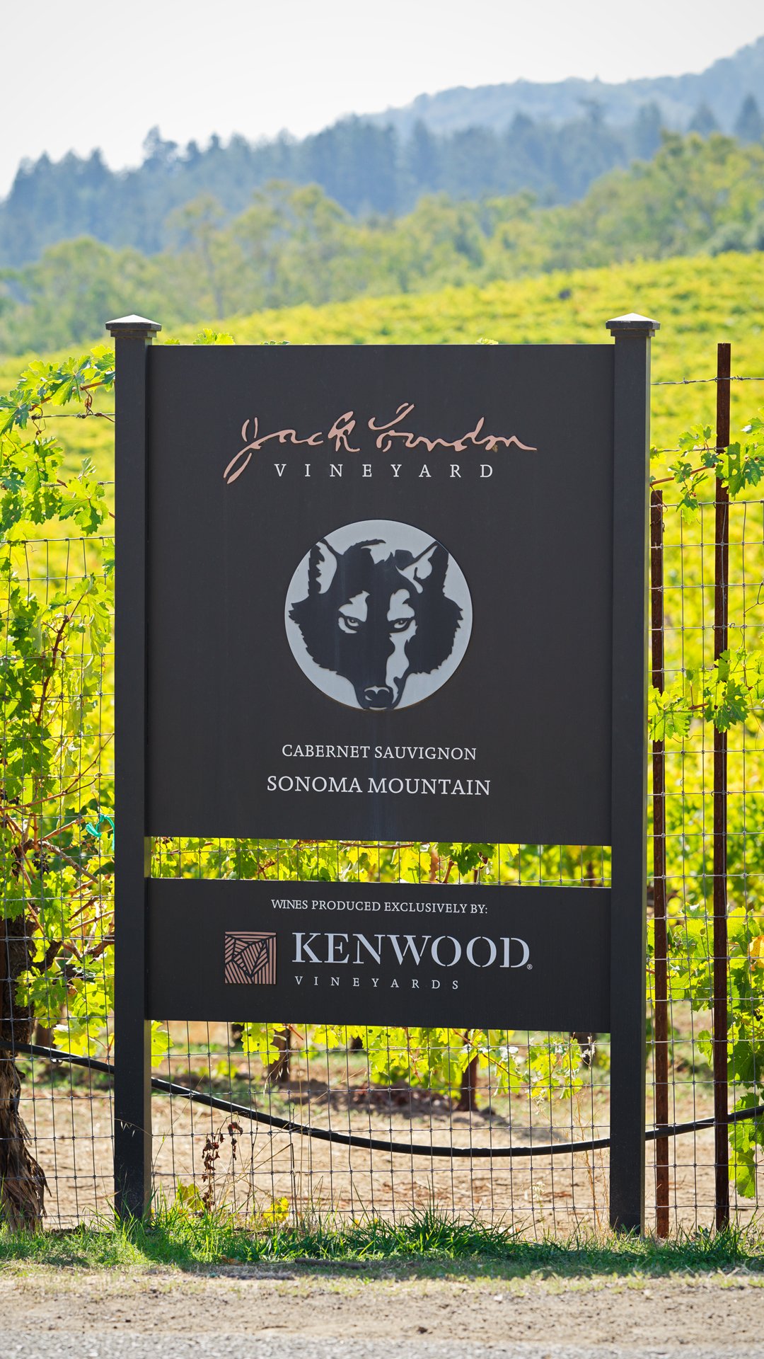 120_Kenwood_JackLondongTour_1_1920px.jpg