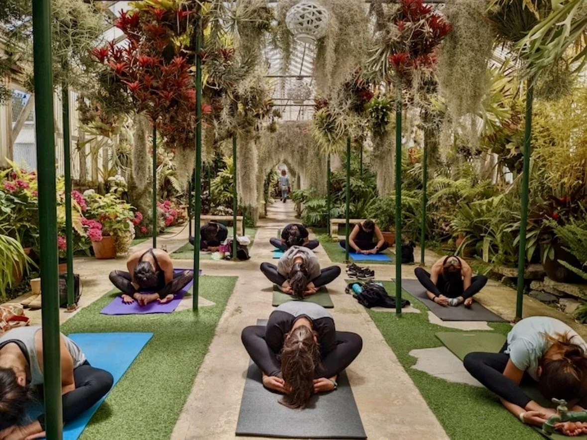 Shelldance Yoga.jpg (Copy)
