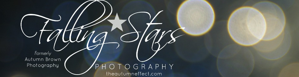 fsp banner.jpg