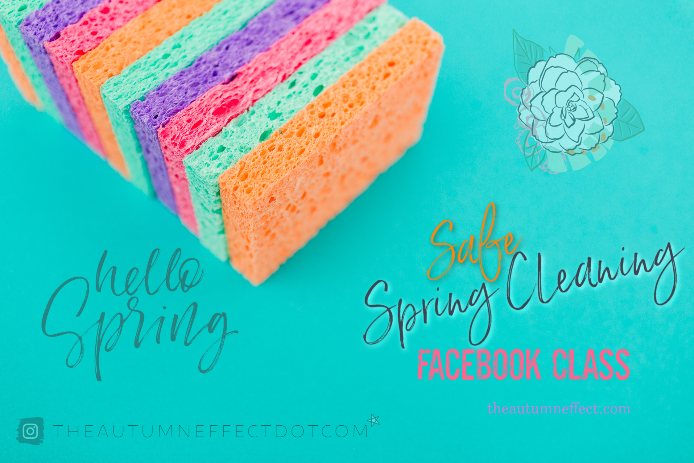 Safe Spring Cleaning FACEBOOK Class