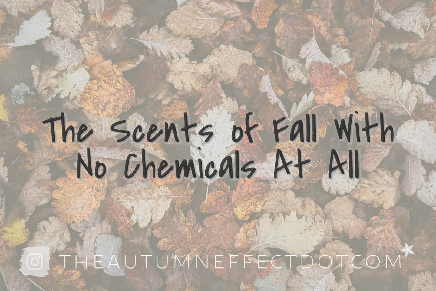 The Scents of Fall, with NO Chemicals at all!