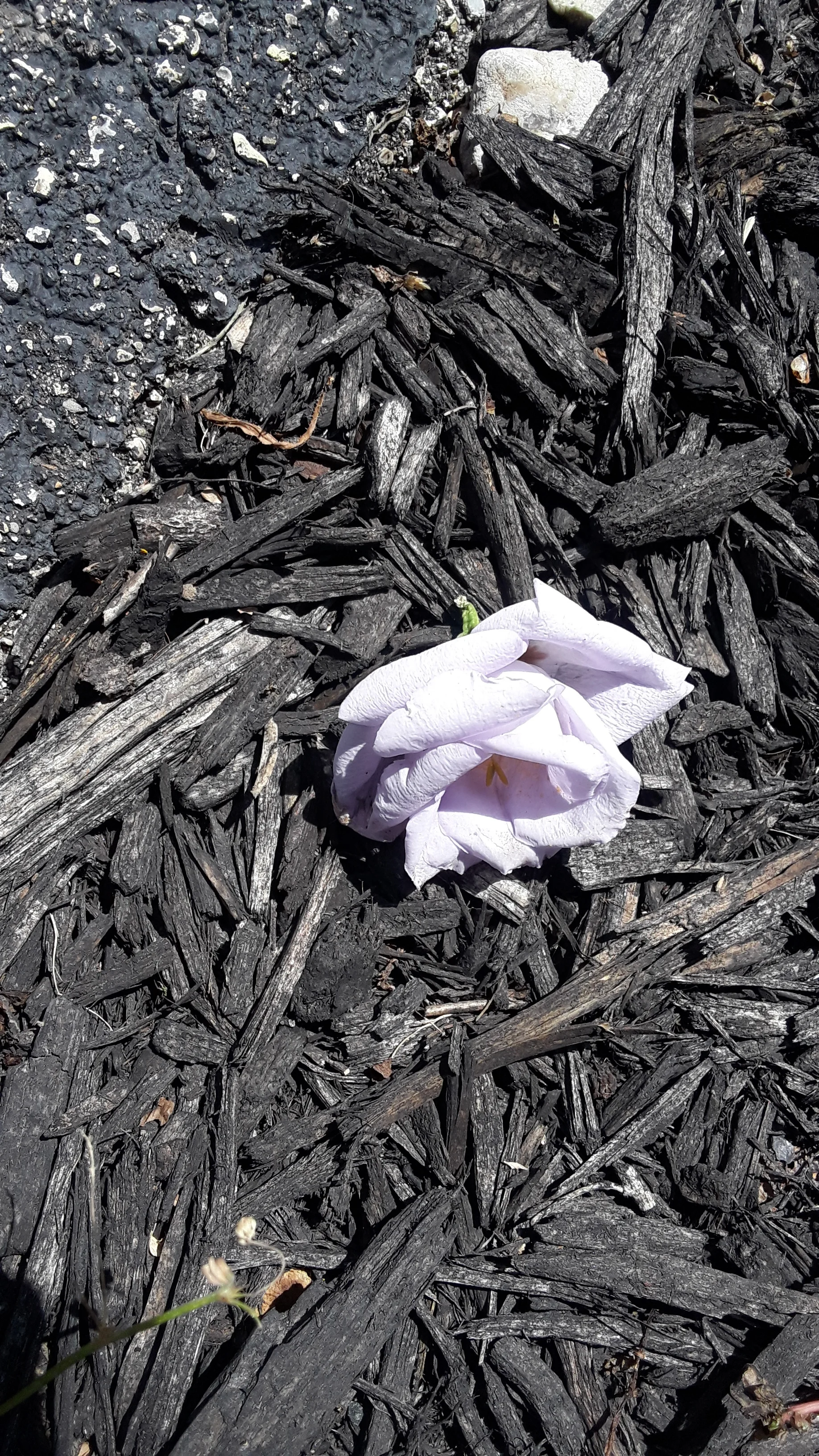 20190814_142004.jpg