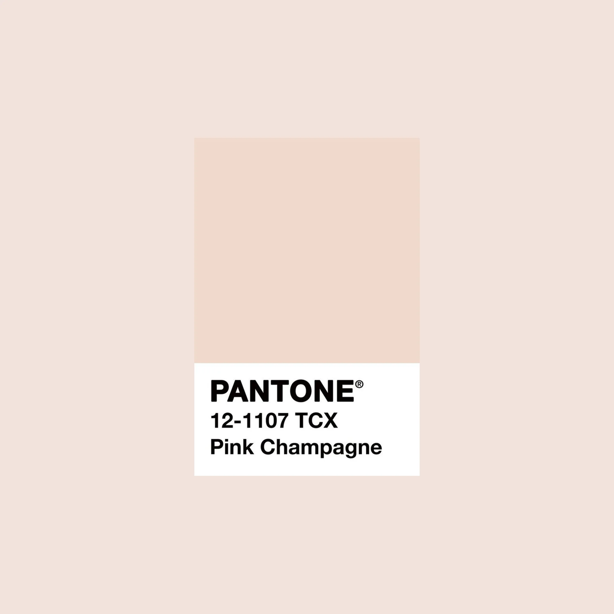 champagne.jpg