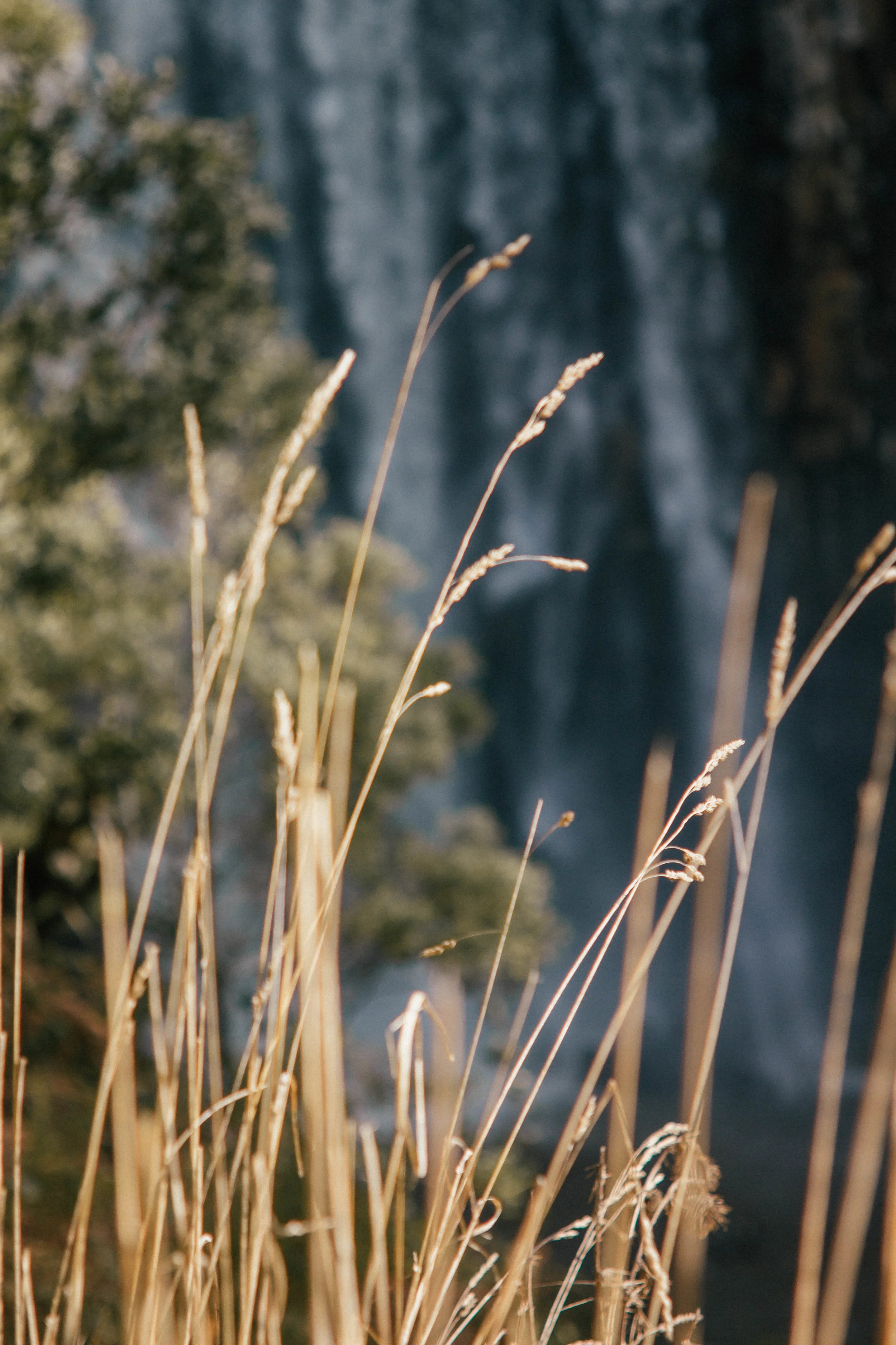 falls-44.jpg