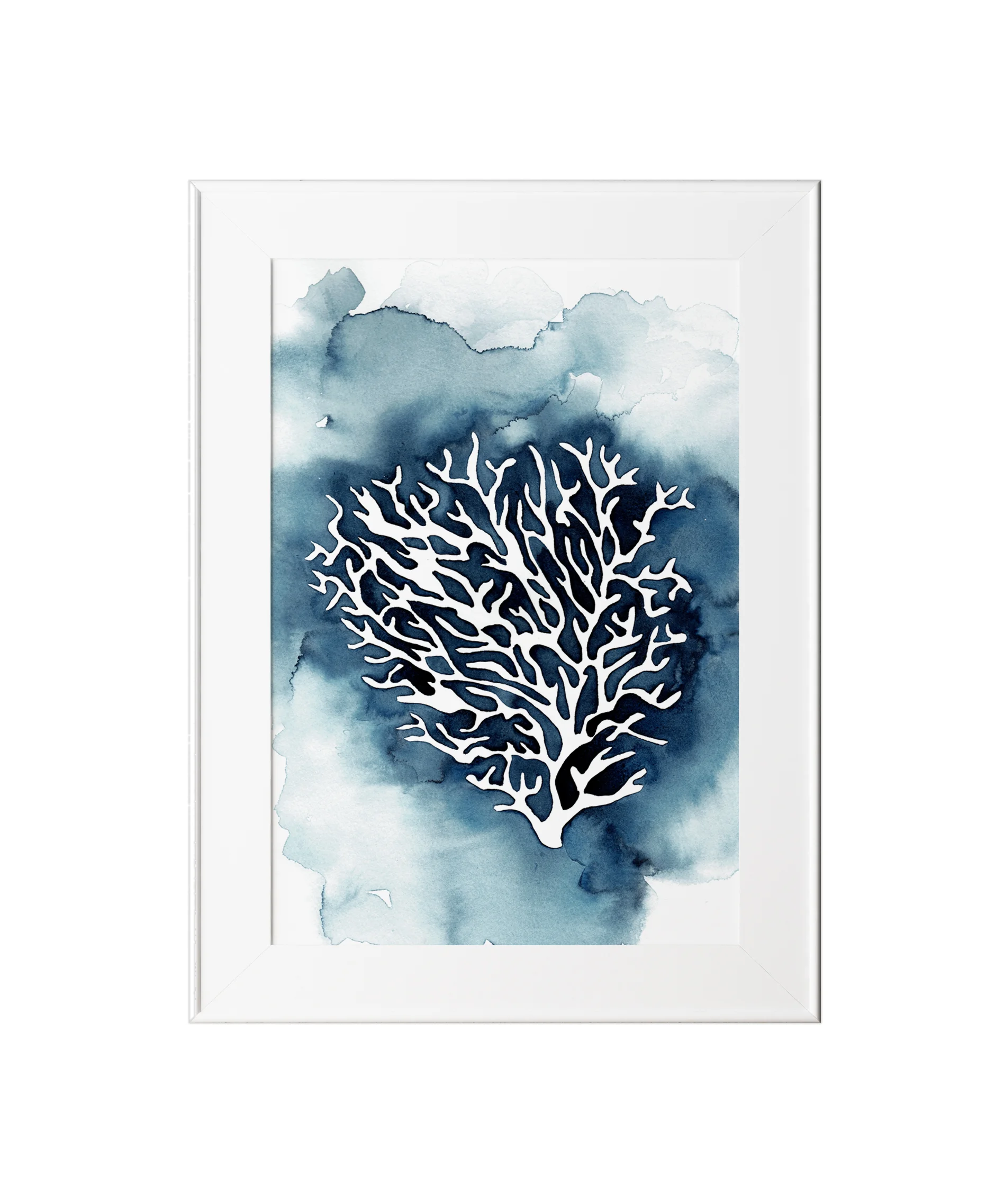 Coral_Frame.jpg