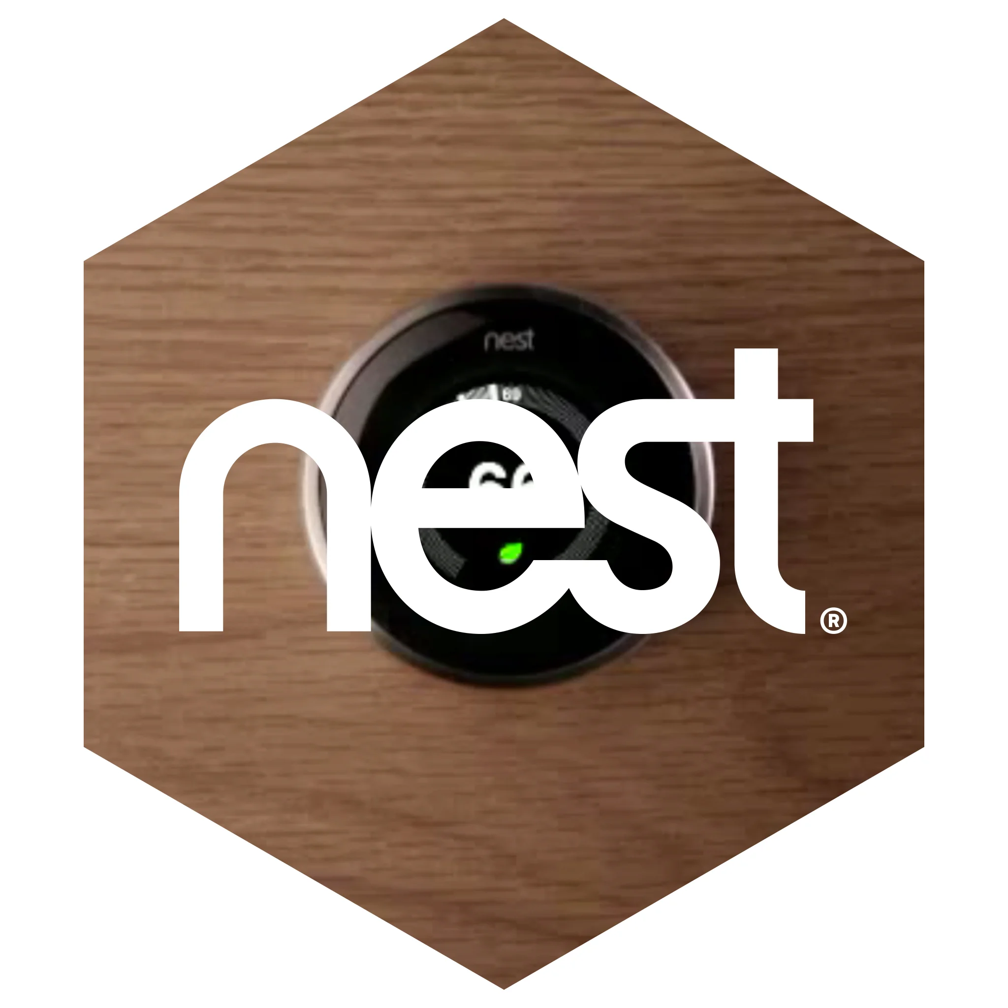 nest.jpg