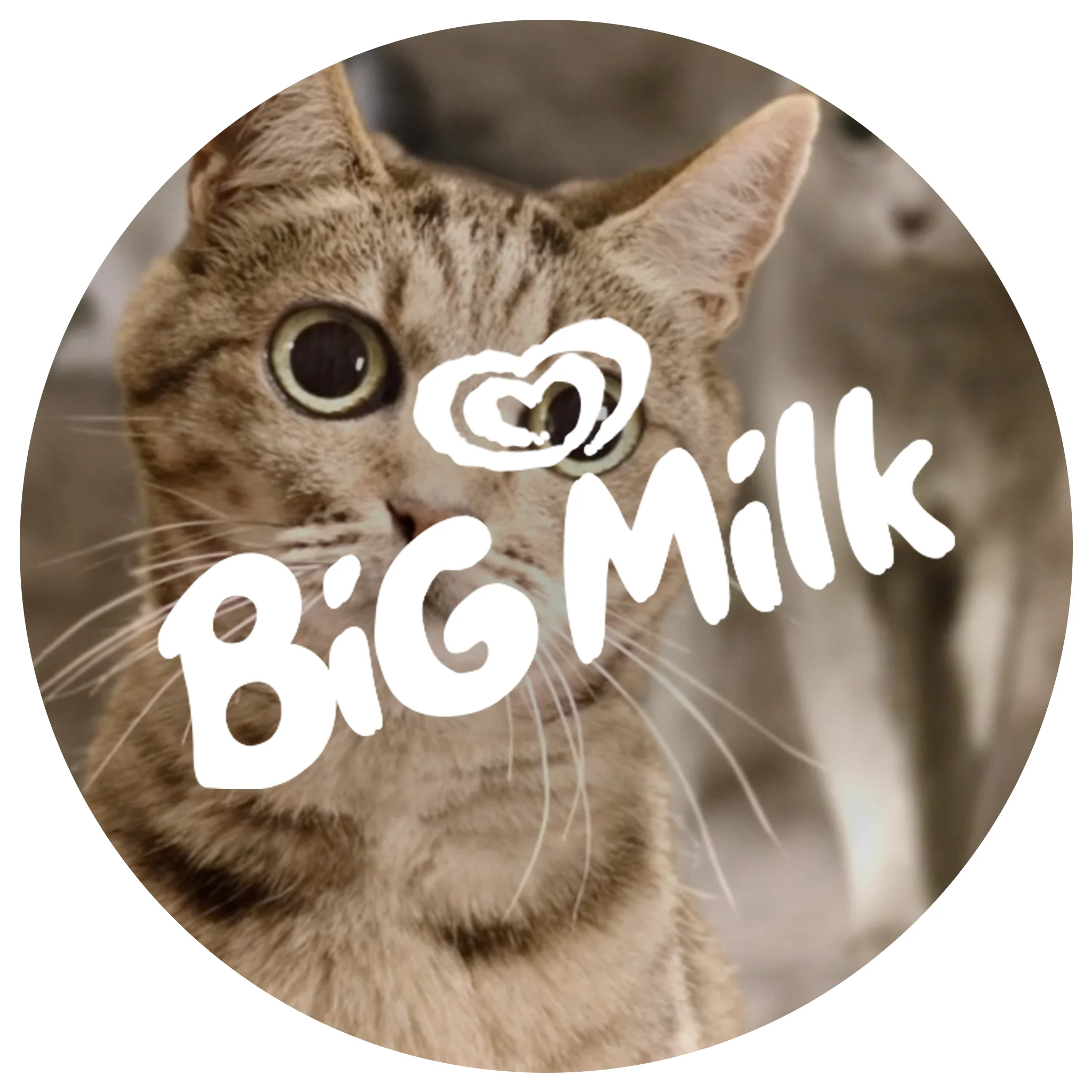 bigmilk.jpg