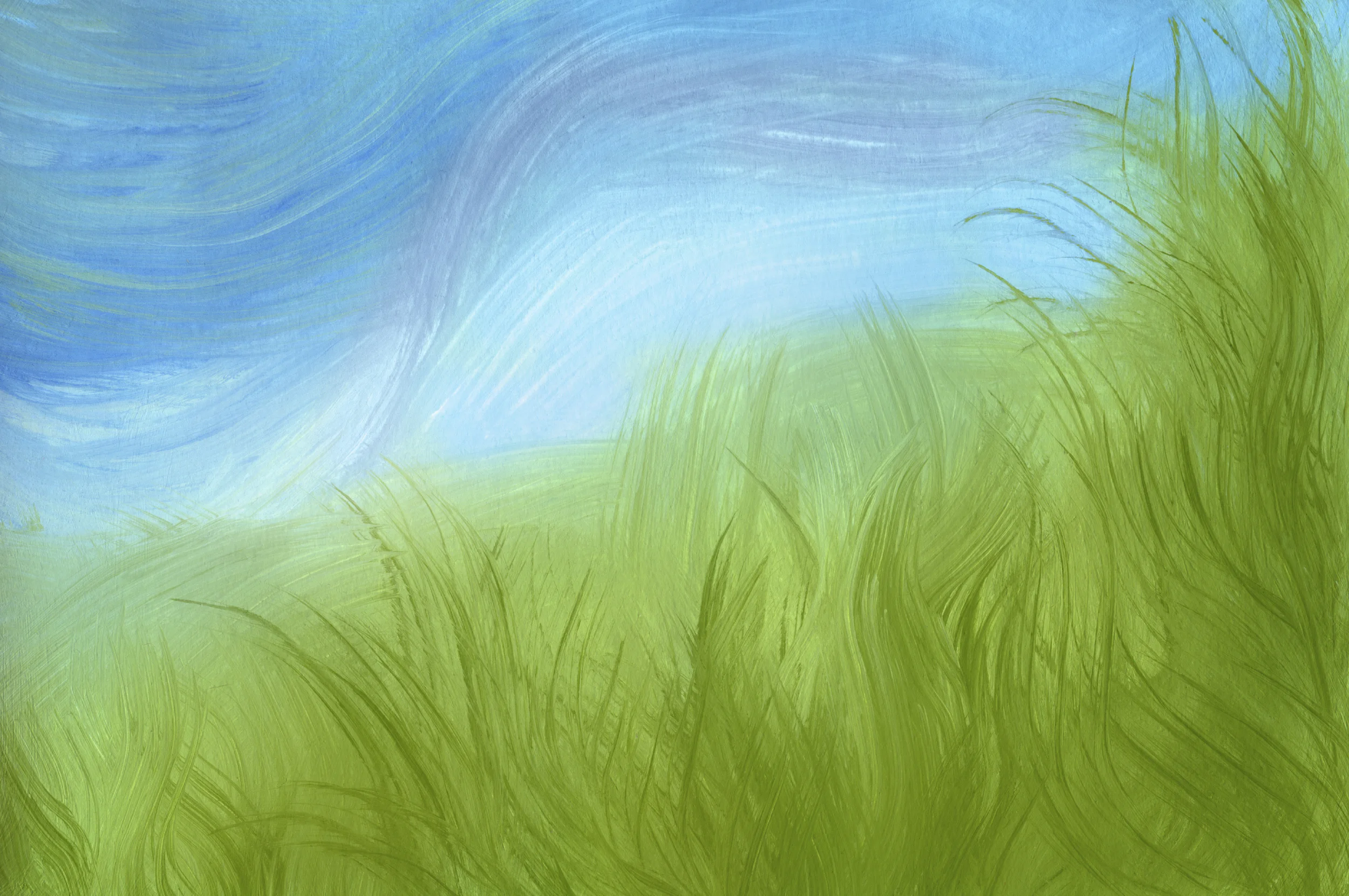 iStock_000012669801Large.jpg