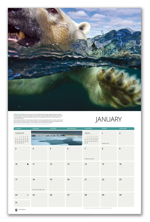 Calendar_Jan.jpg