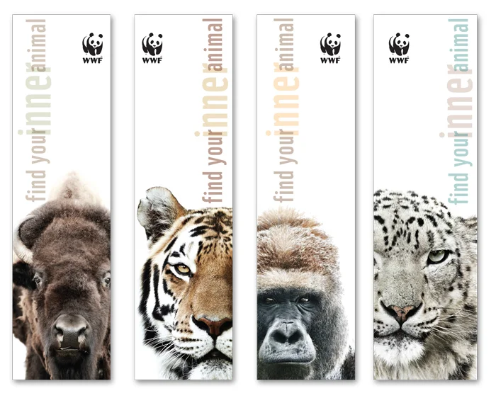 Bookmarks.jpg