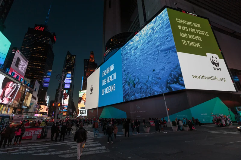 TIMES_SQ3_sm.jpg