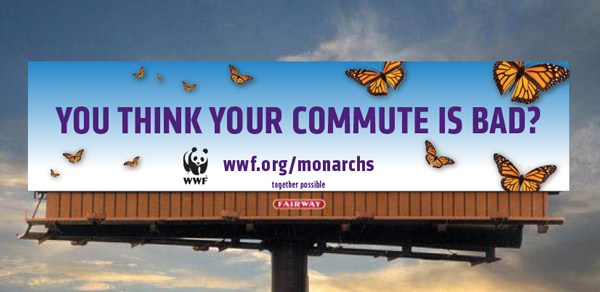 monarchs_PSA2_600.jpg