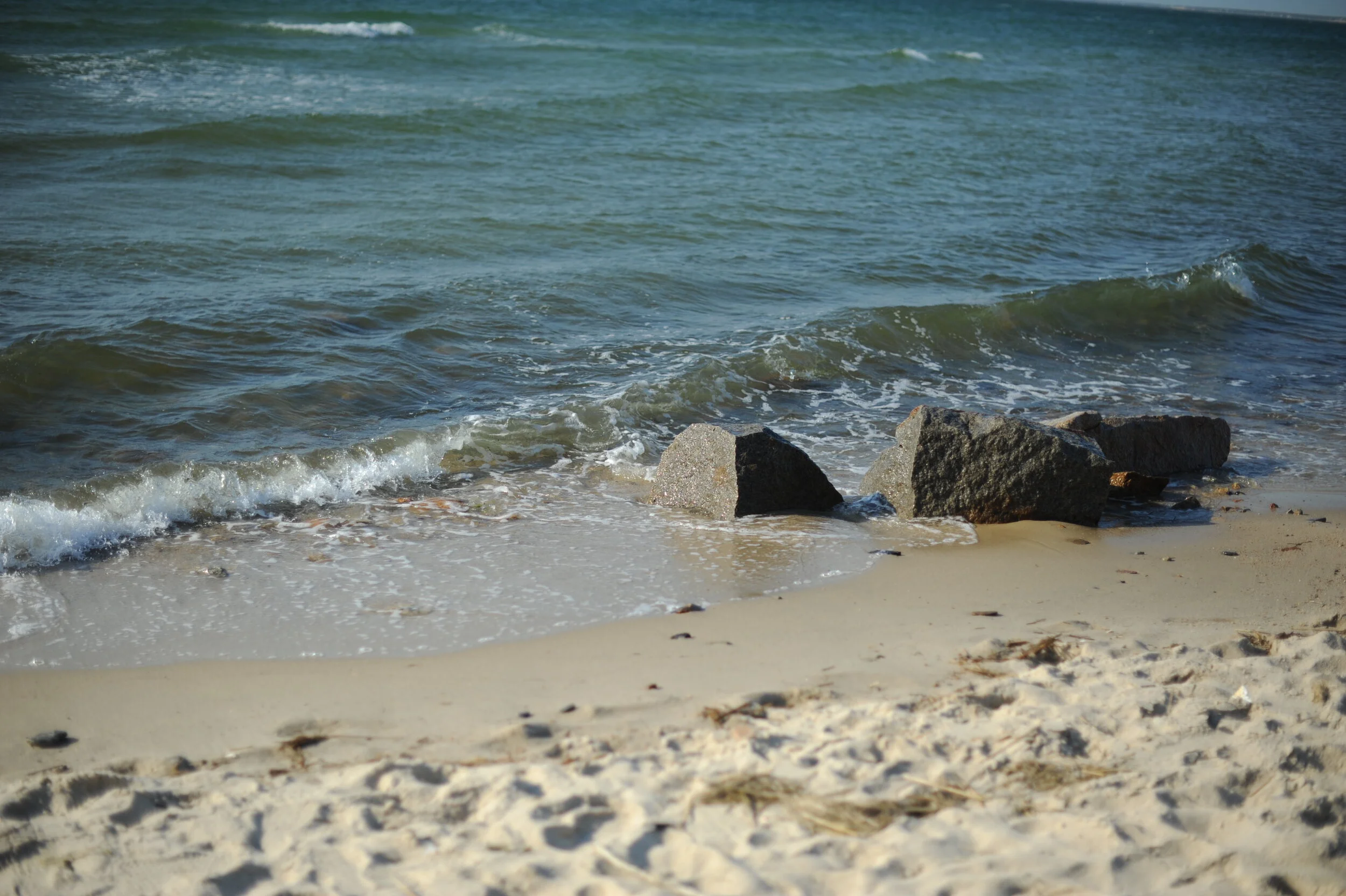DSC_1195.JPG