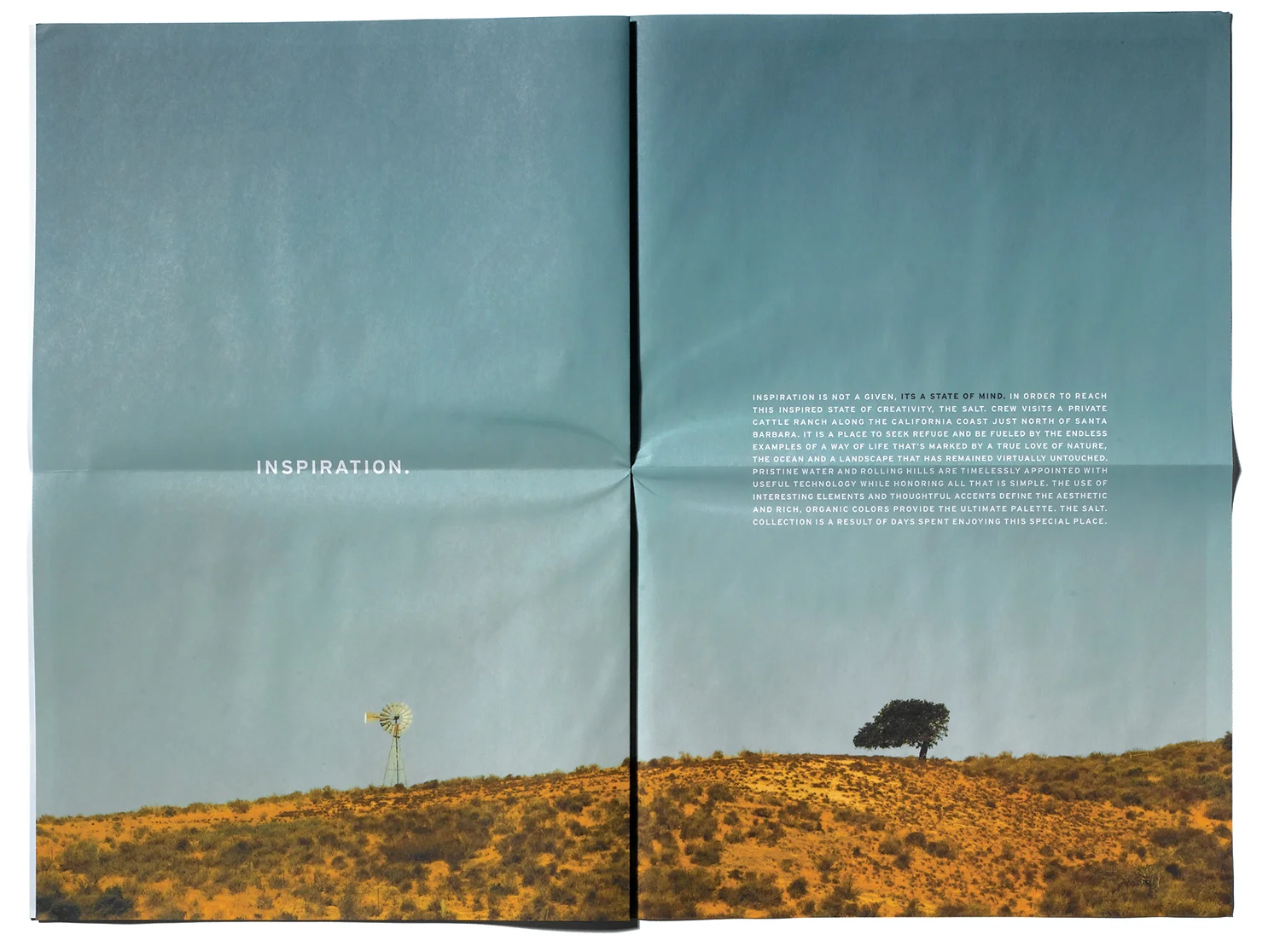 salt newspaper-6.jpg