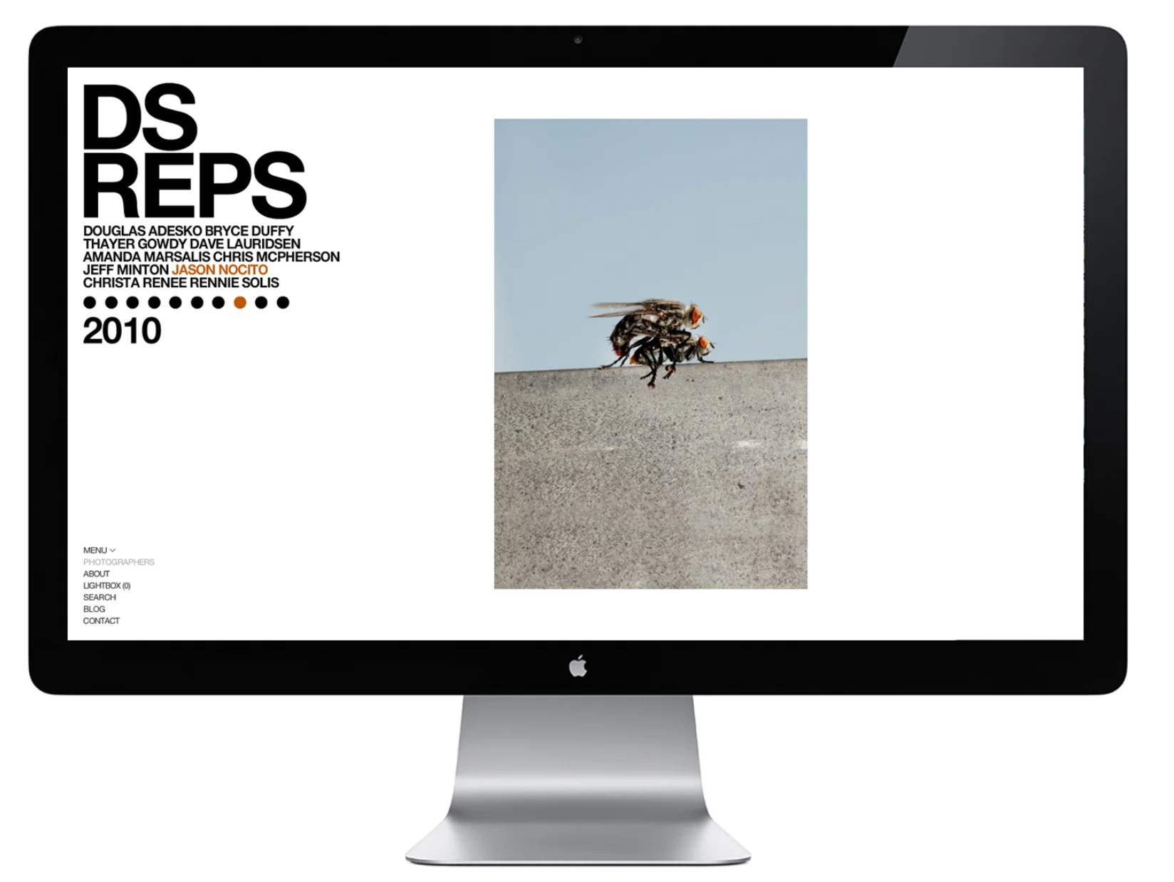 DSREPS WEB MOCK_2.jpg