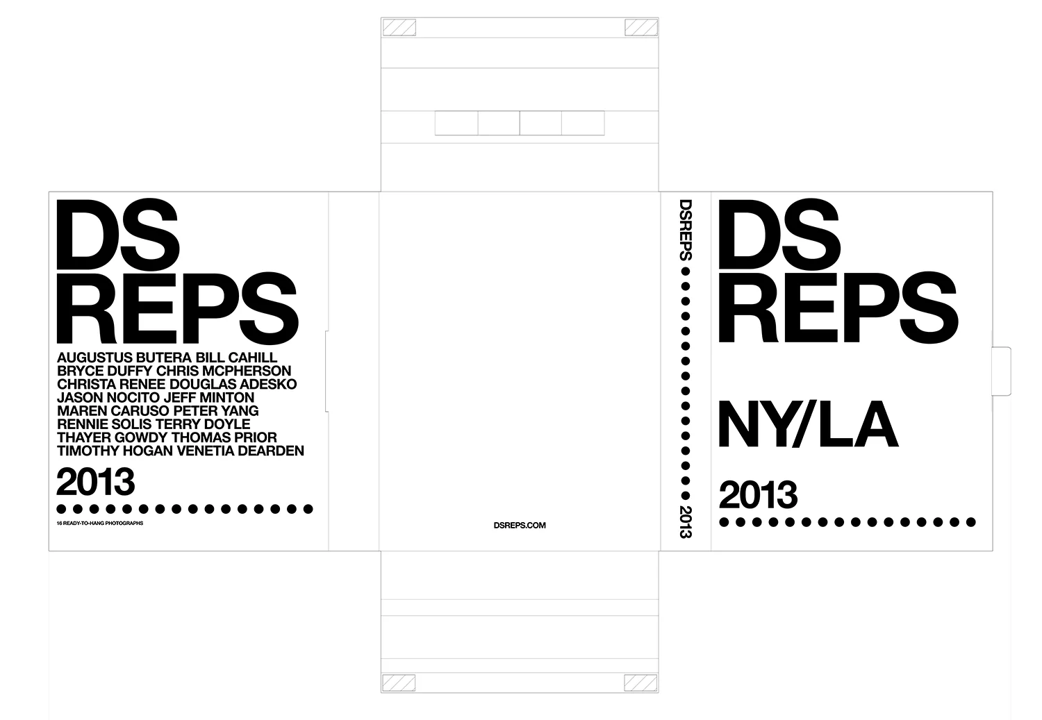 DSREPS_2013 BoxFinal-2.jpg