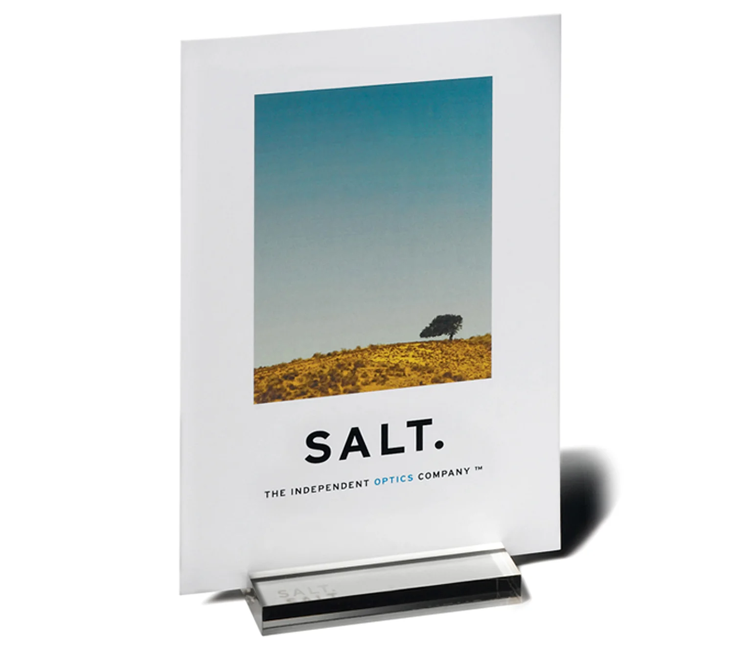 salt POP_3.jpg