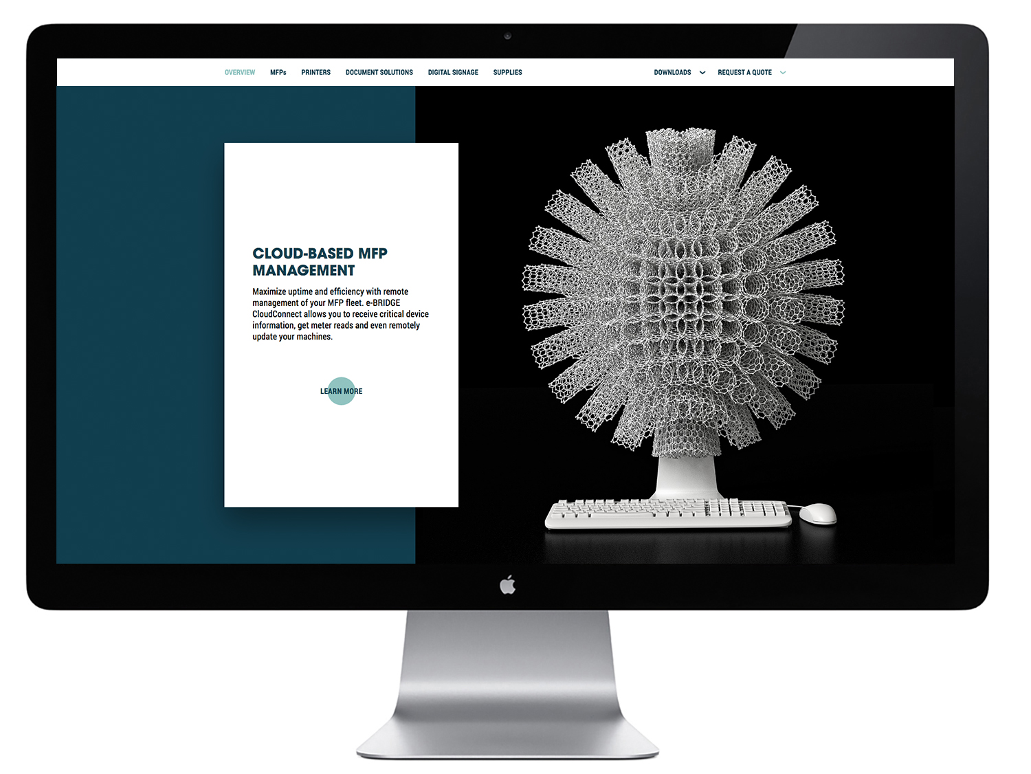 TOSHIBA_WEB MOCK_5.jpg