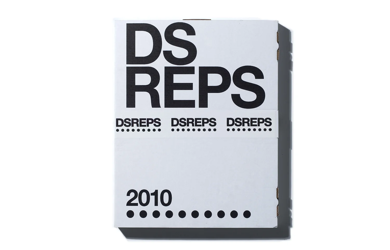 DSREPS_PROMO 2010-1.jpg