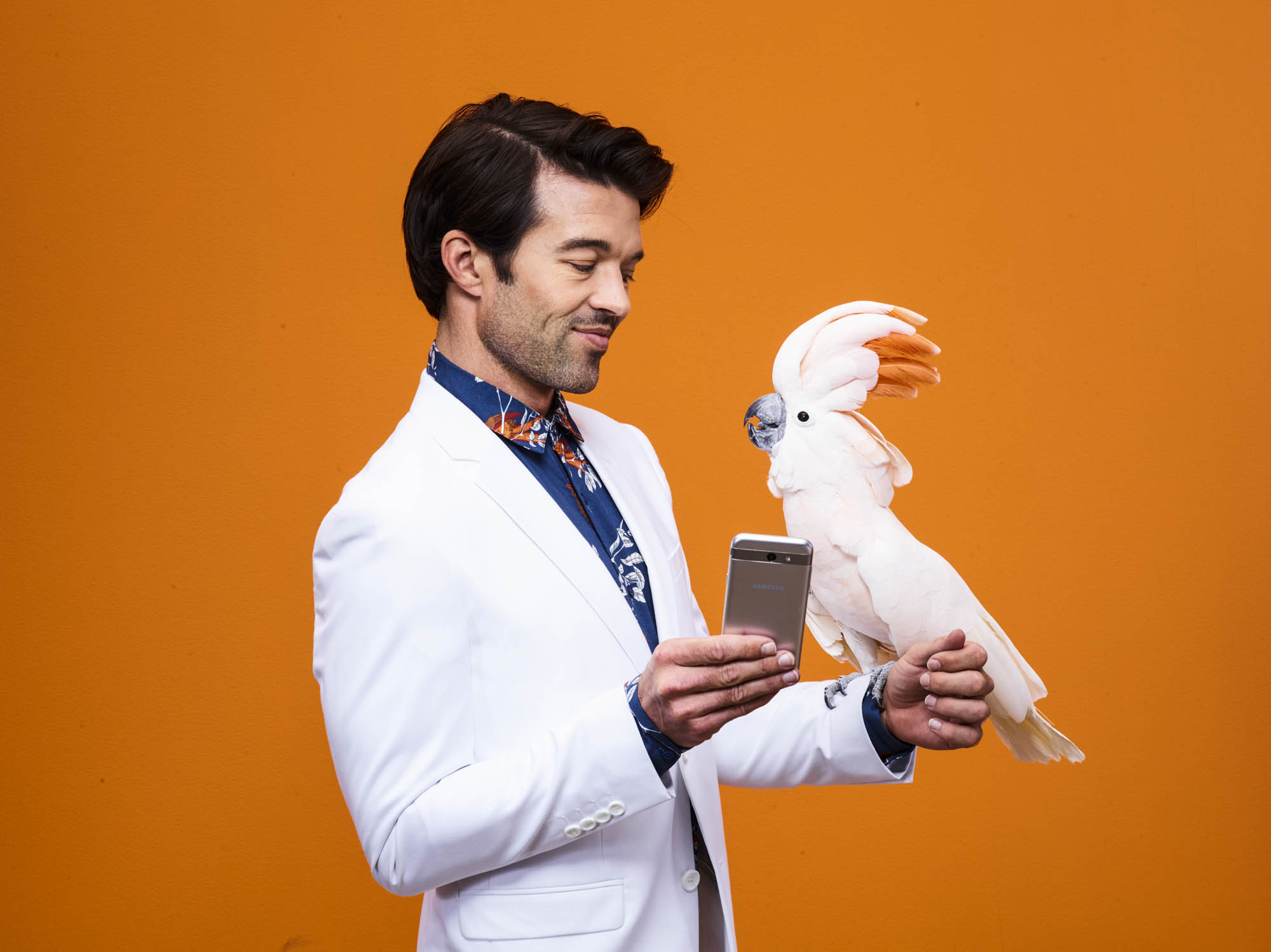 11_OrangeBlue_Wall_1519-copy.jpg