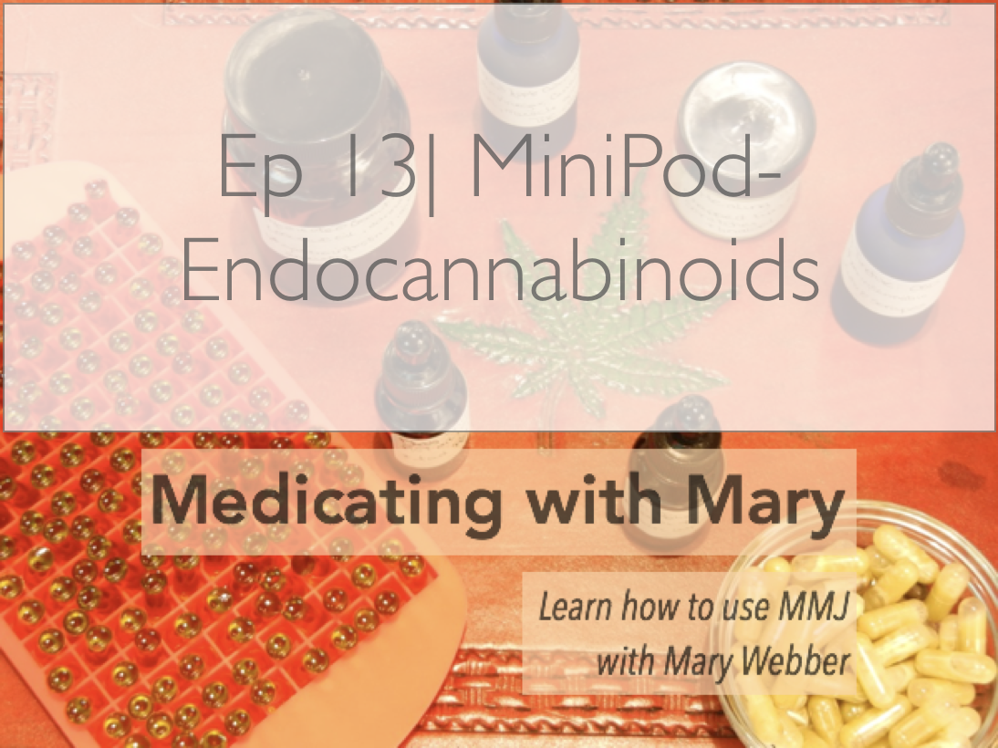 Ep 13| MiniPods- Endocannabinoids