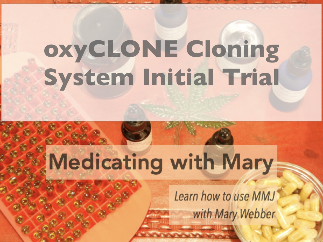 oxyCLONE Cloning System Initial Trial (spoiler: NOT successful)