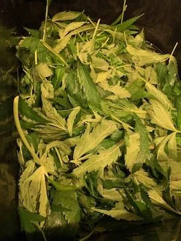 Cover with lemon juice, swirl with baking soda and water to clean away debris.