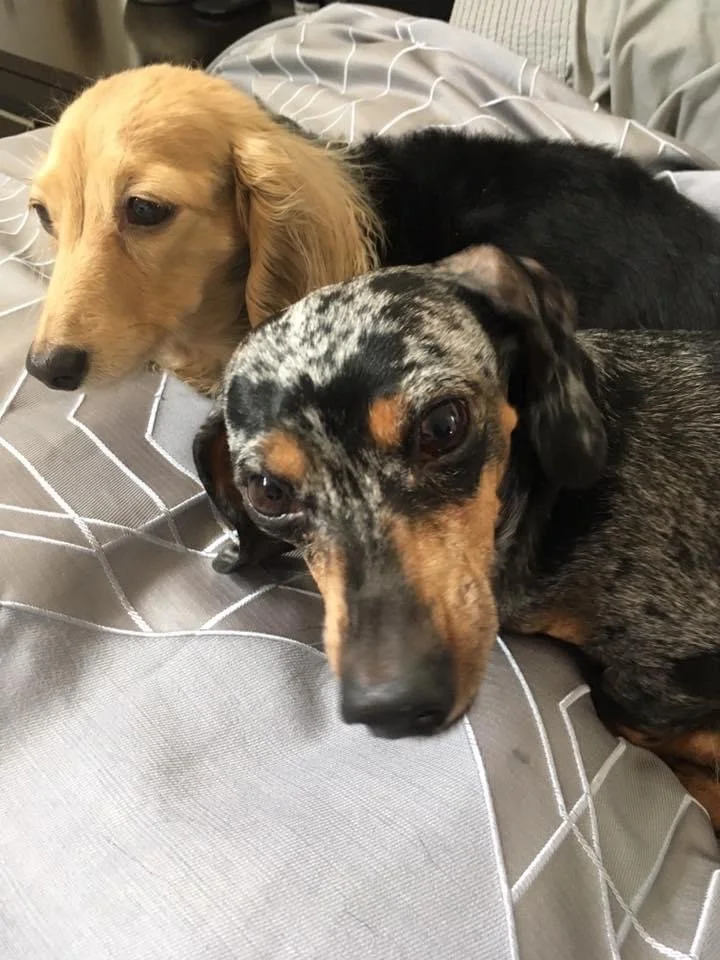 Stem cell therapy progress 3