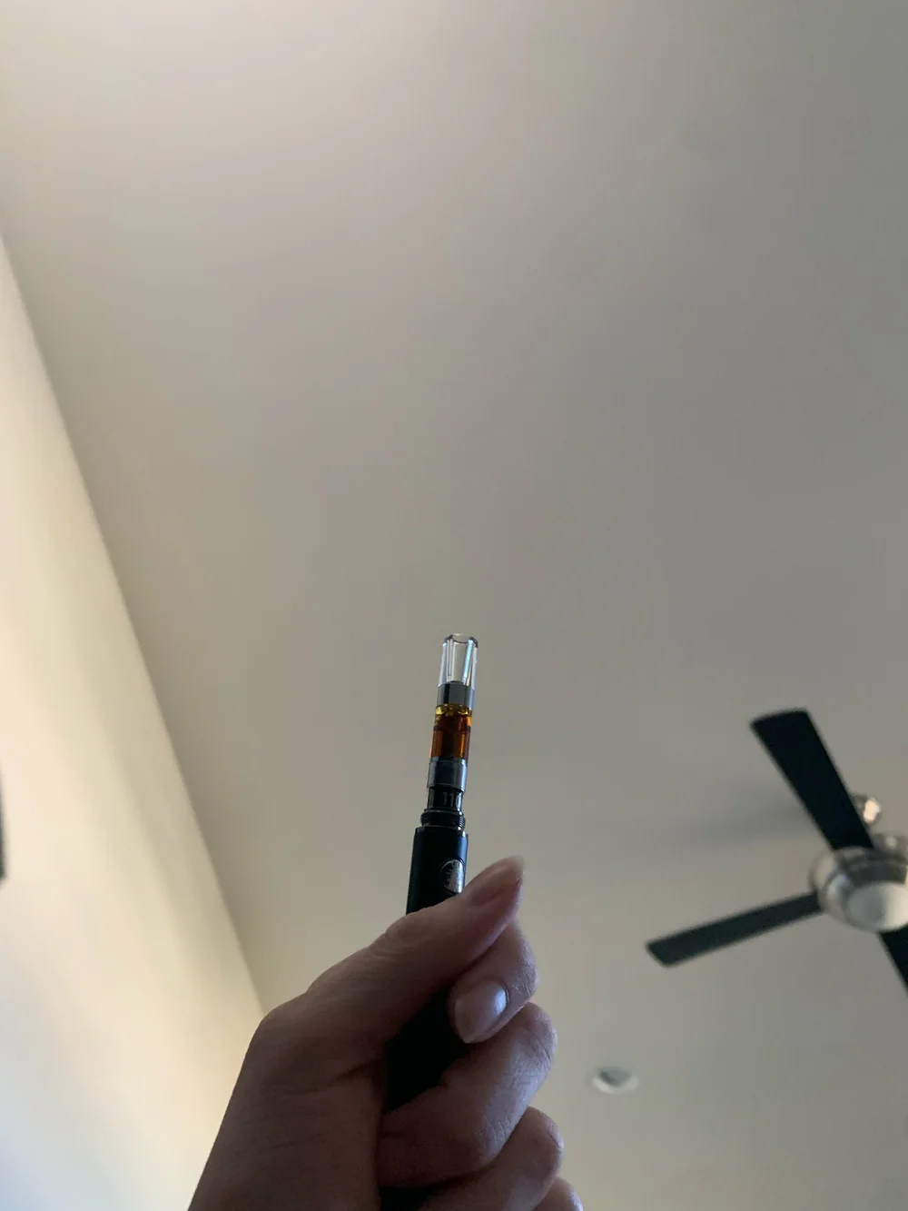 Vape pen