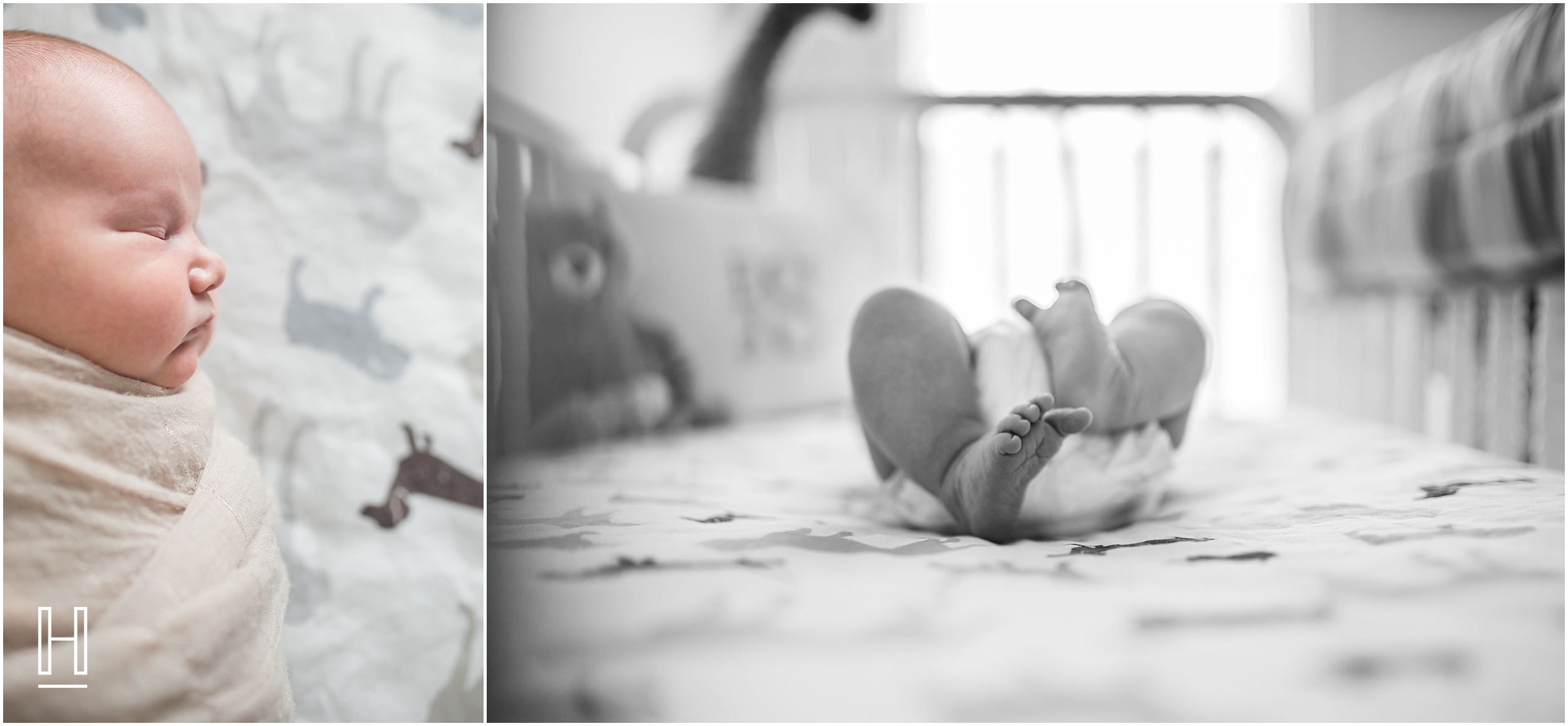 atlanta_newborn_photographer-photography_0543.jpg