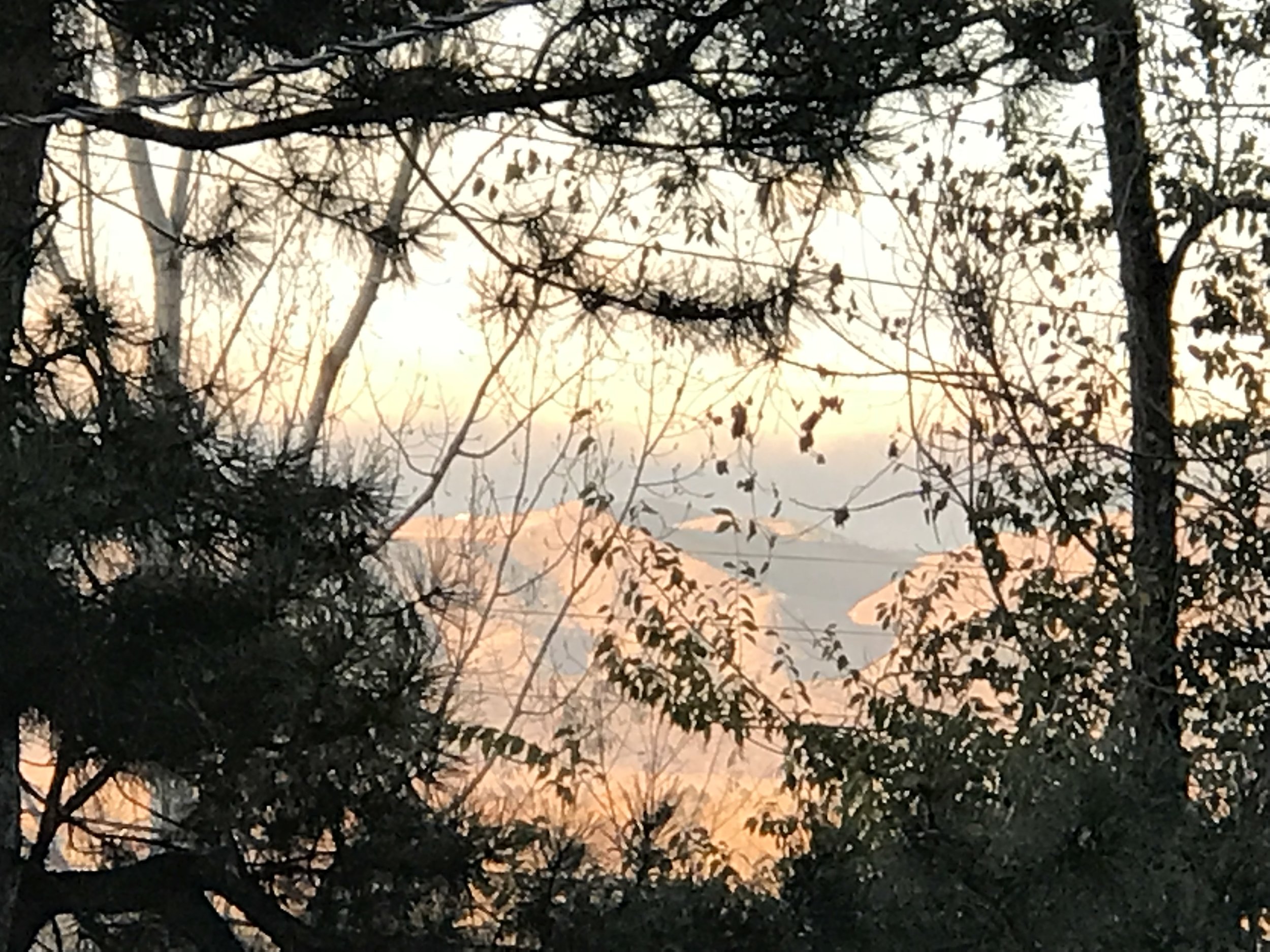 A view of the mountains through the trees in Colorado.
