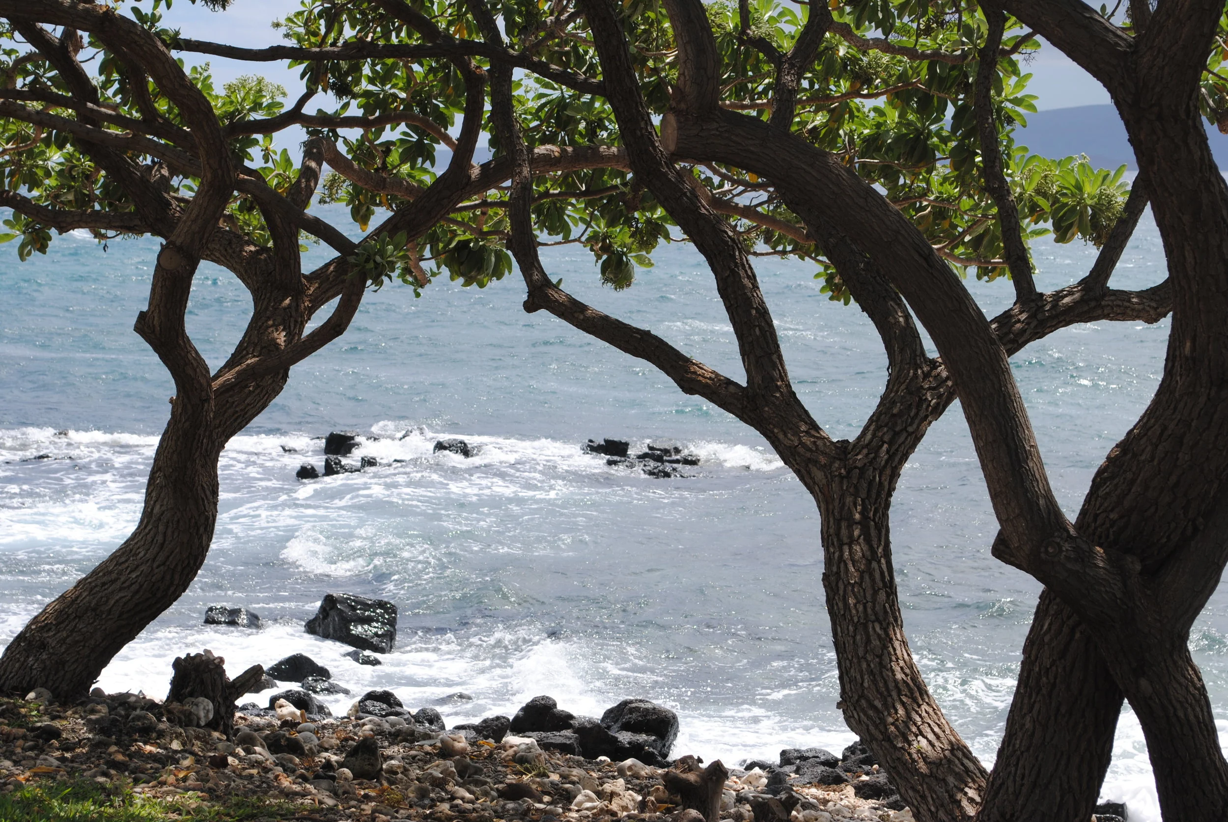 Maui, Hawaii
