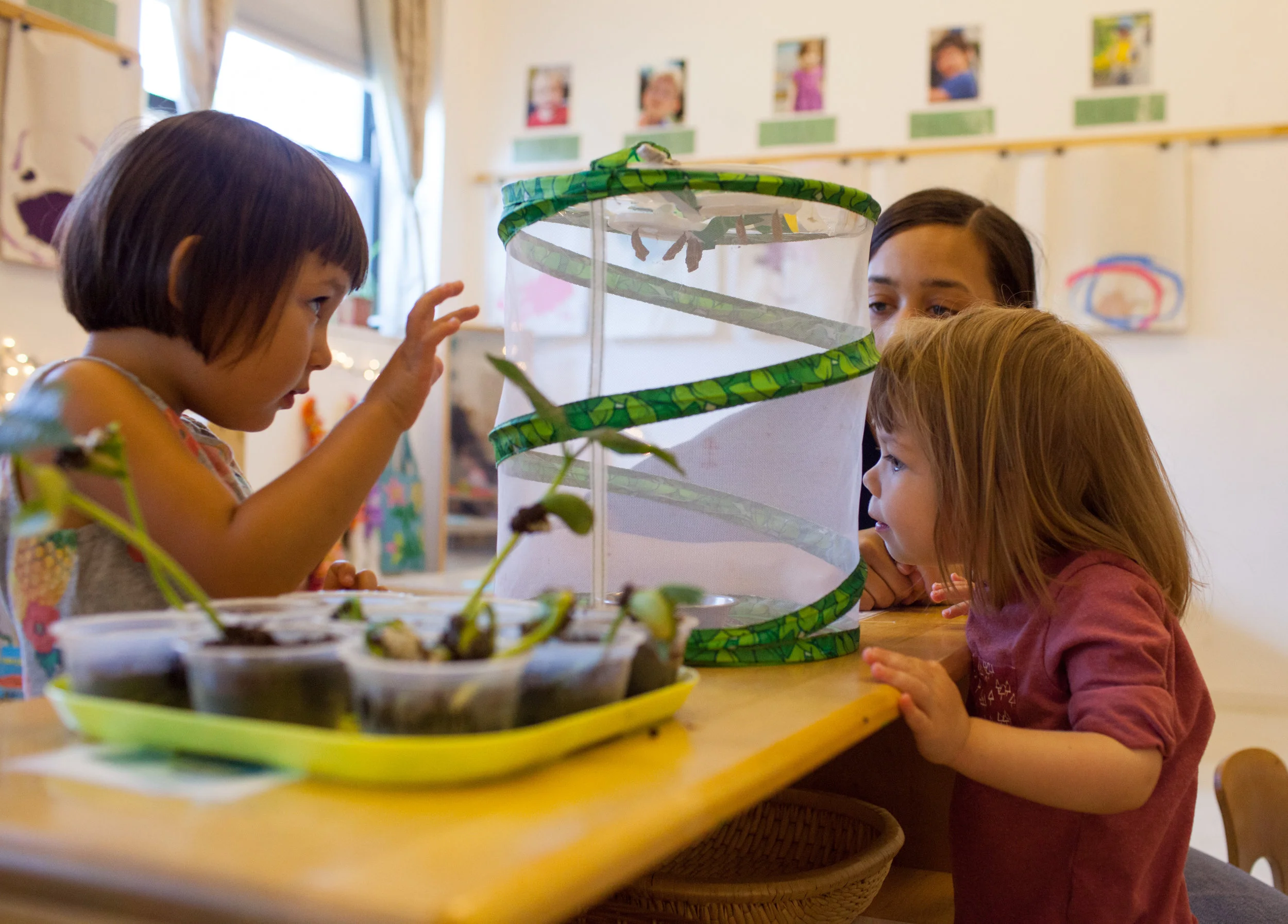 Williamsburg Neighborhood Nursery School