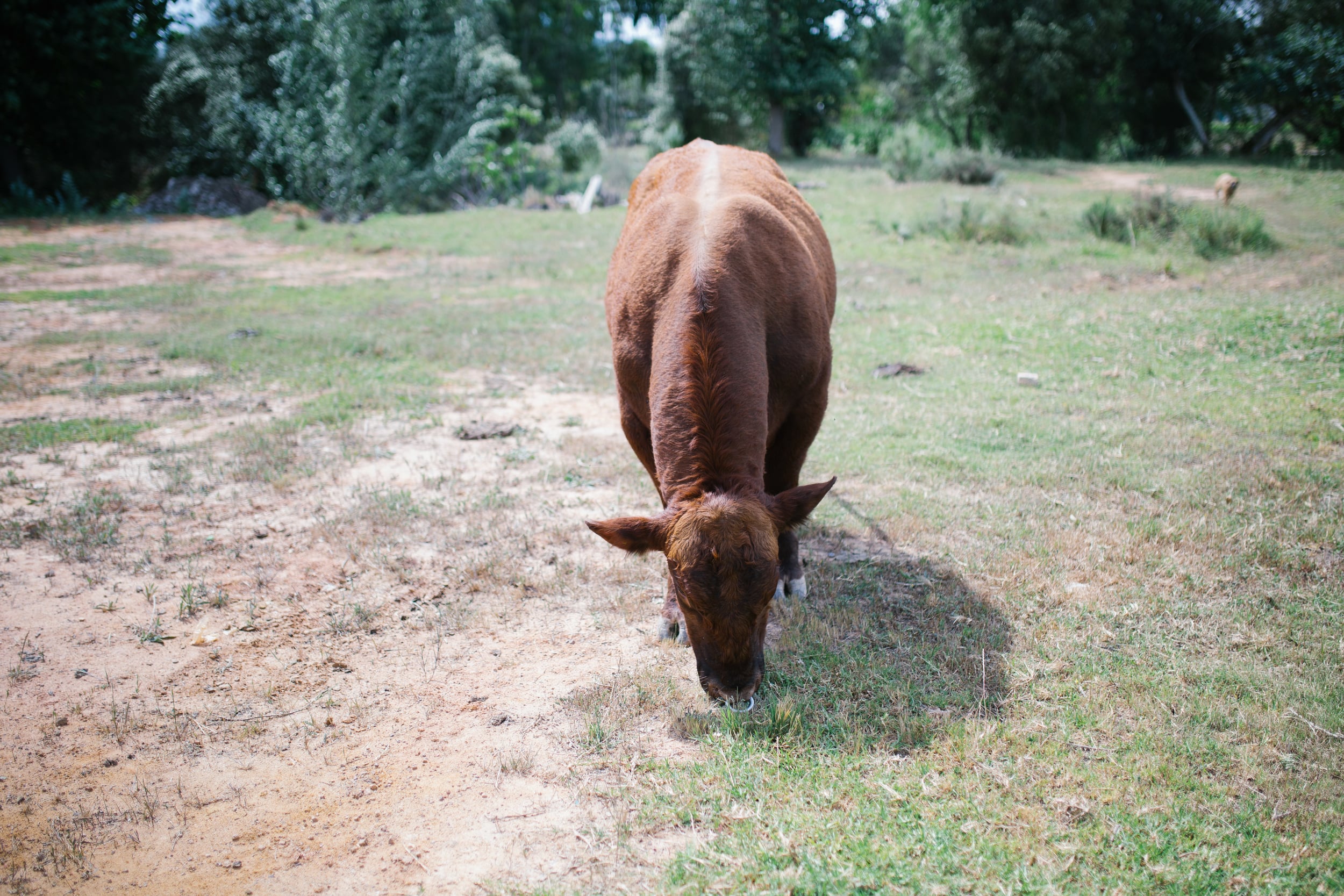 Vlottenburg Porta 400 (5 of 7).jpg