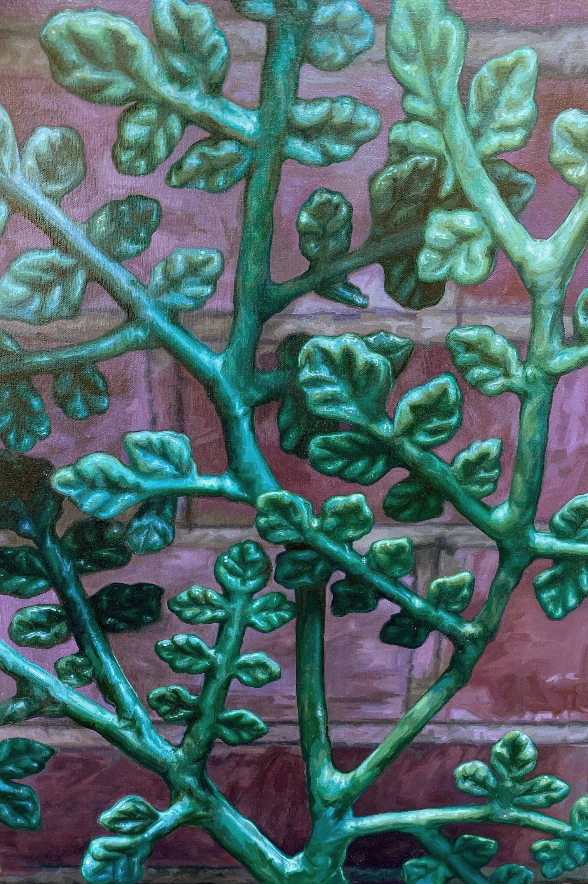   Polyethylene Perennial  24” x 18” Oil on Canvas 2025 