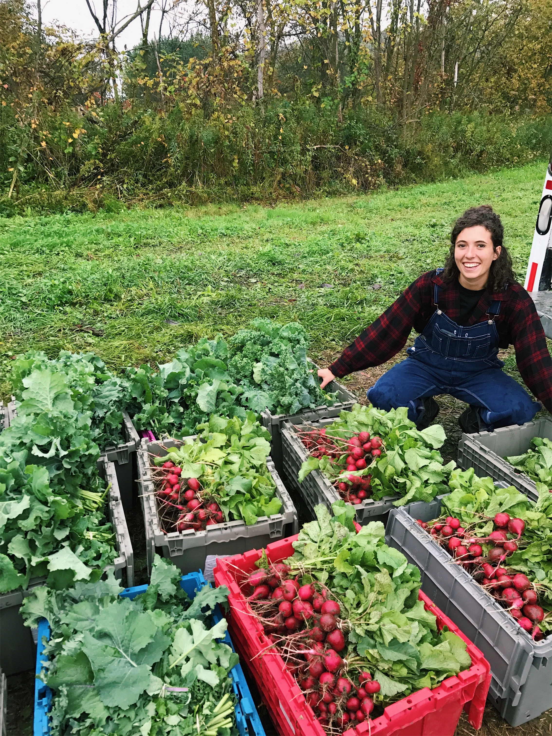 Author Ava Rose, Oct 2017, Jericho River Farm, Richmond, VT.