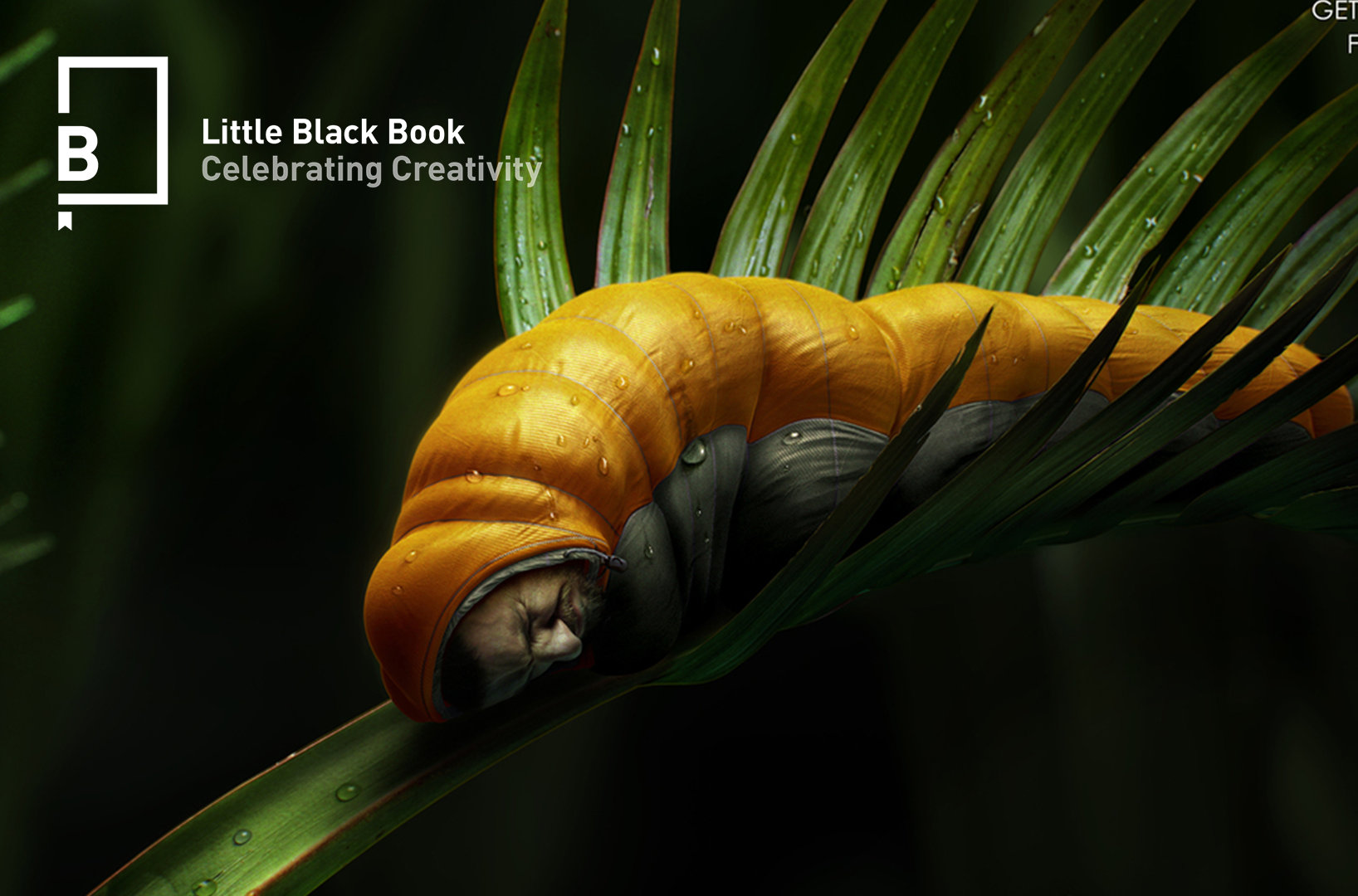 foto-ALTA-kokopelli-bug---news.png