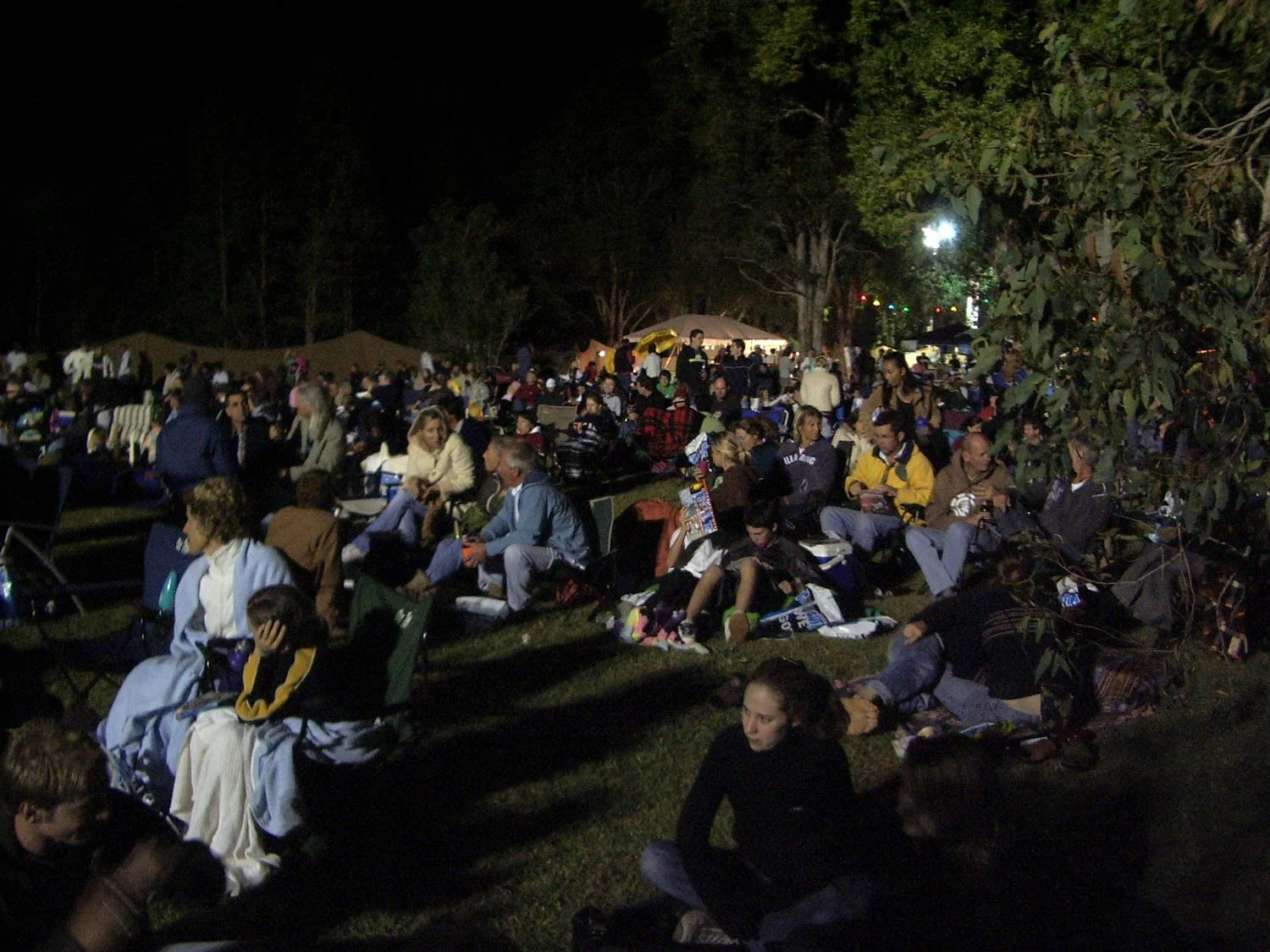 In the Bin Film Festival