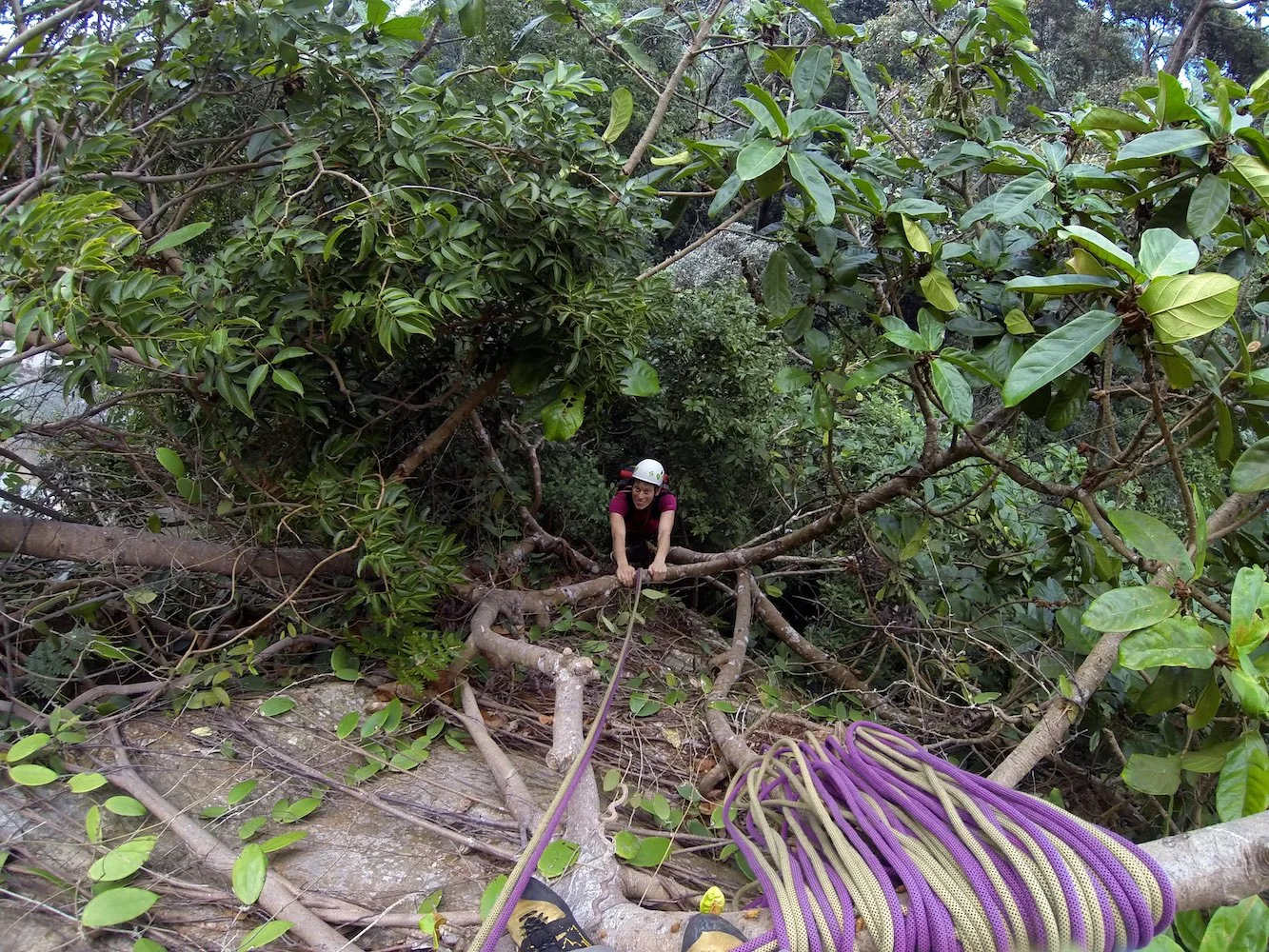  The first pitch of 'Demai Sentosa' on the south tower 