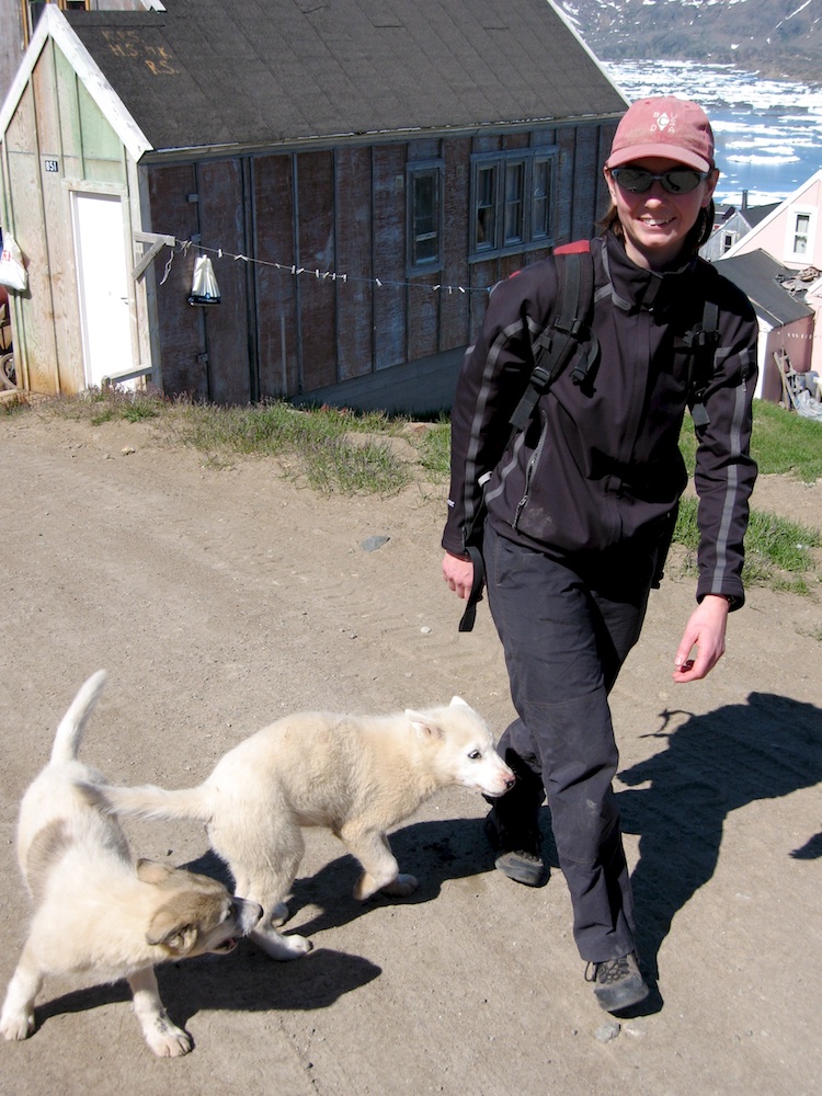  These Greenland sled dog puppies took a liking to Tash 